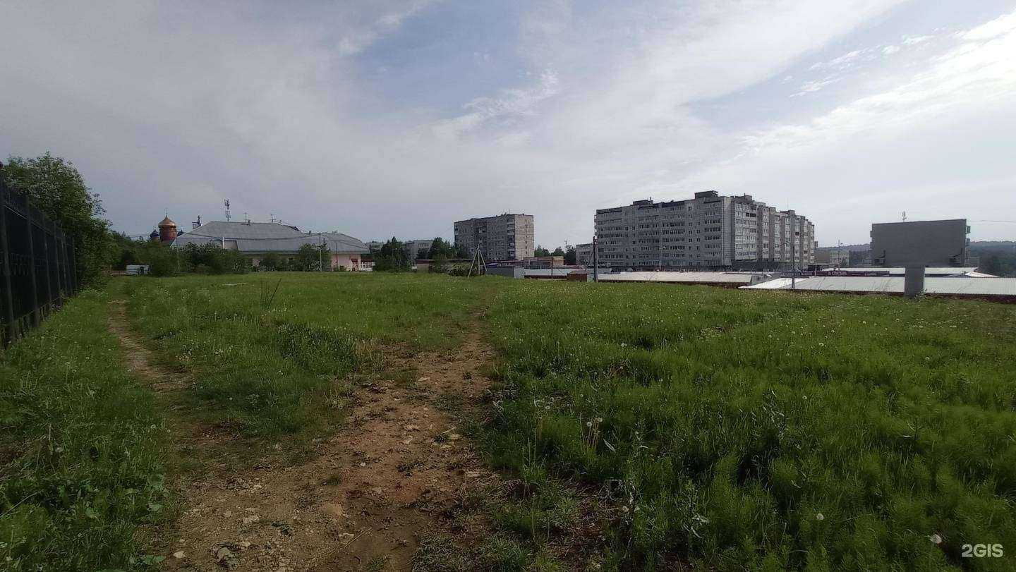 Отзывы на компанию Мир цветов в Губахе c фото - фотография 2 из 2