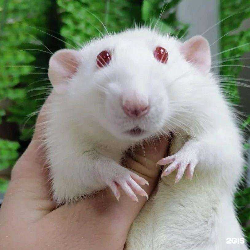 Отзывы на компанию Фауна в г. Барнаул c фото