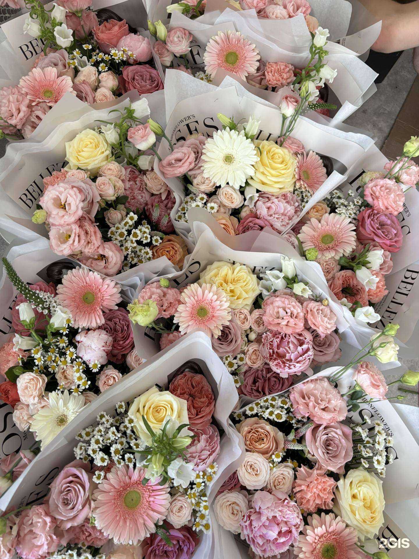 Отзывы на компанию Mono Flower brand в г. Нижний Новгород c фото