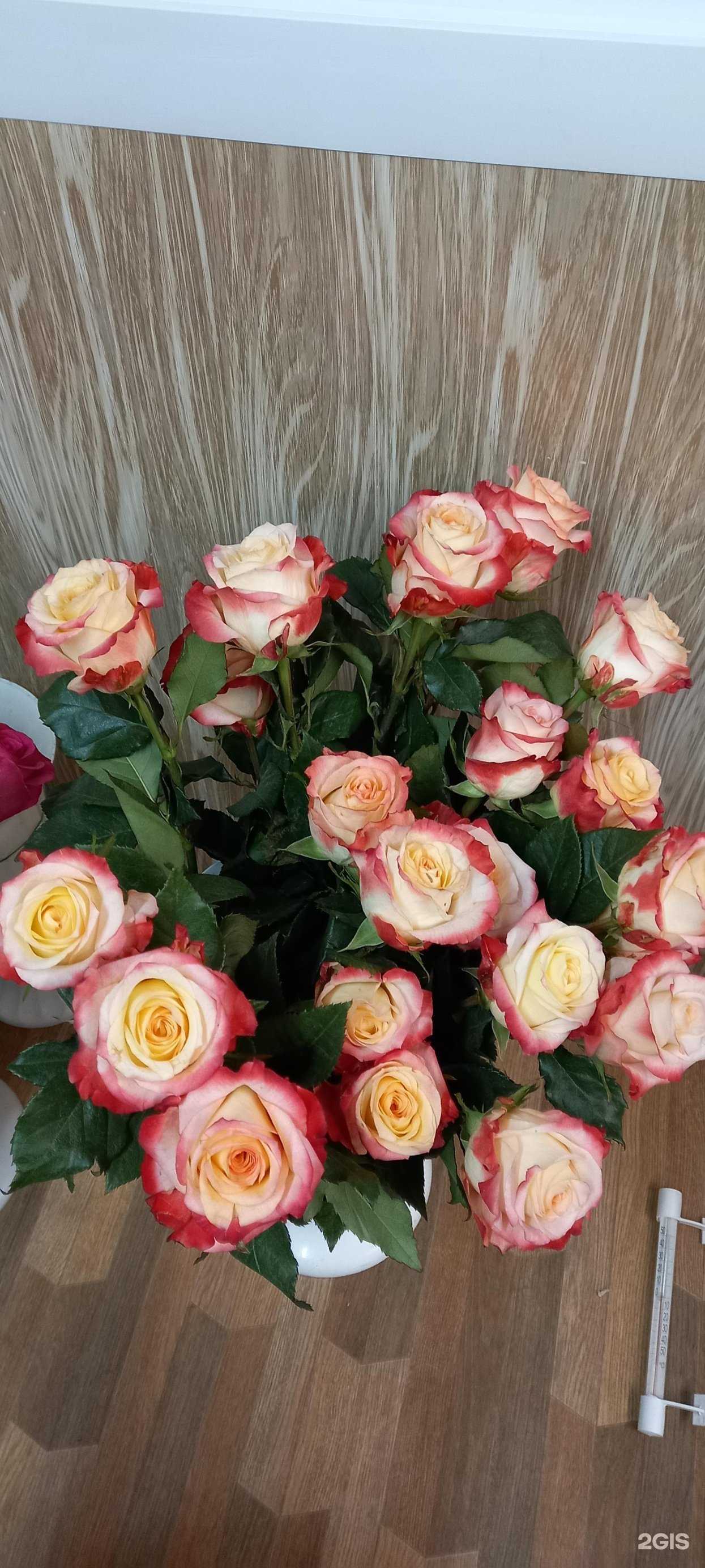 Отзывы на компанию Татьянин день в г. Киров c фото