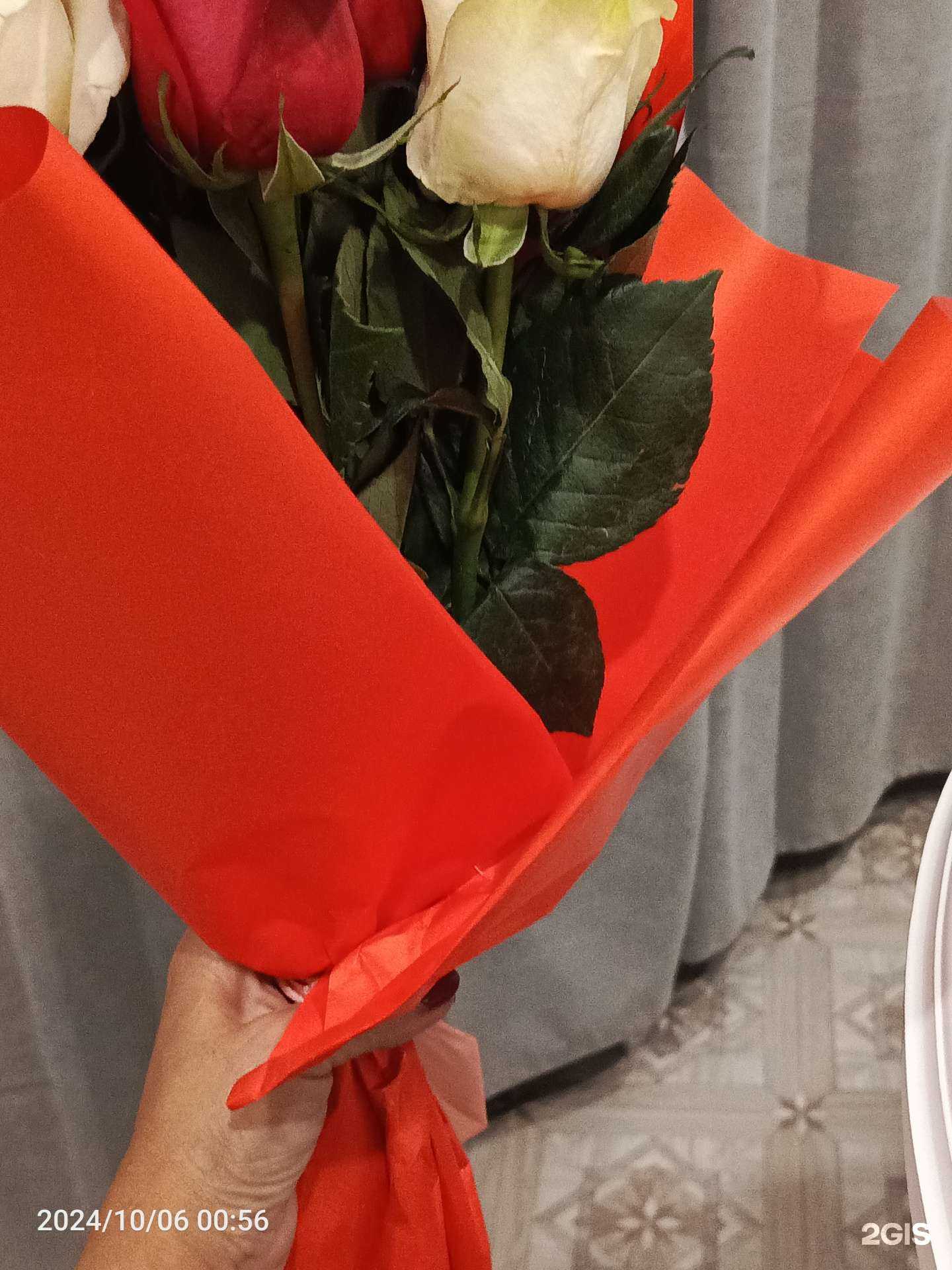 Отзывы на компанию Ботаника в г. Улан-Удэ c фото