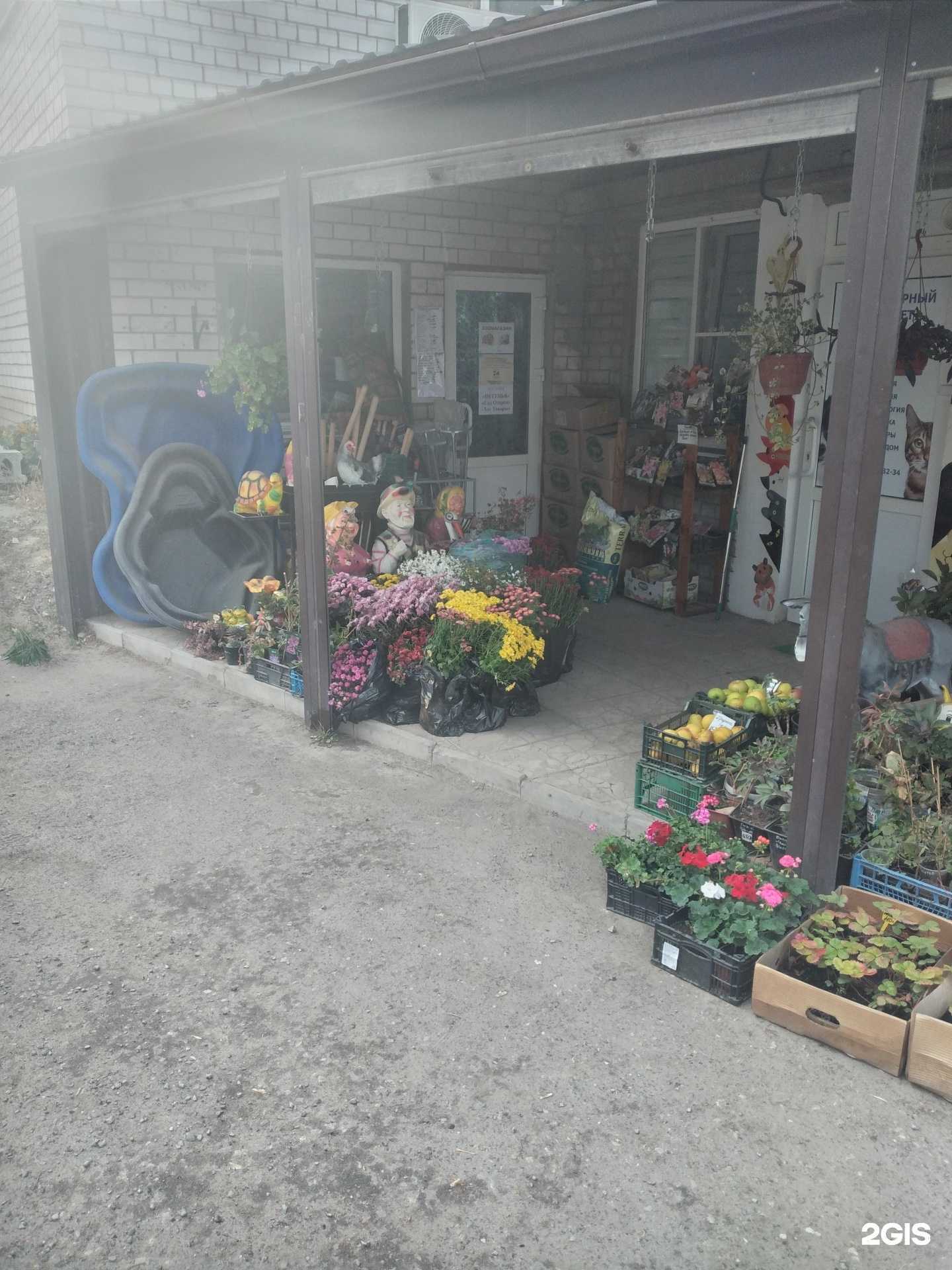 Отзывы на компанию Гавмяу в Волгограде c фото