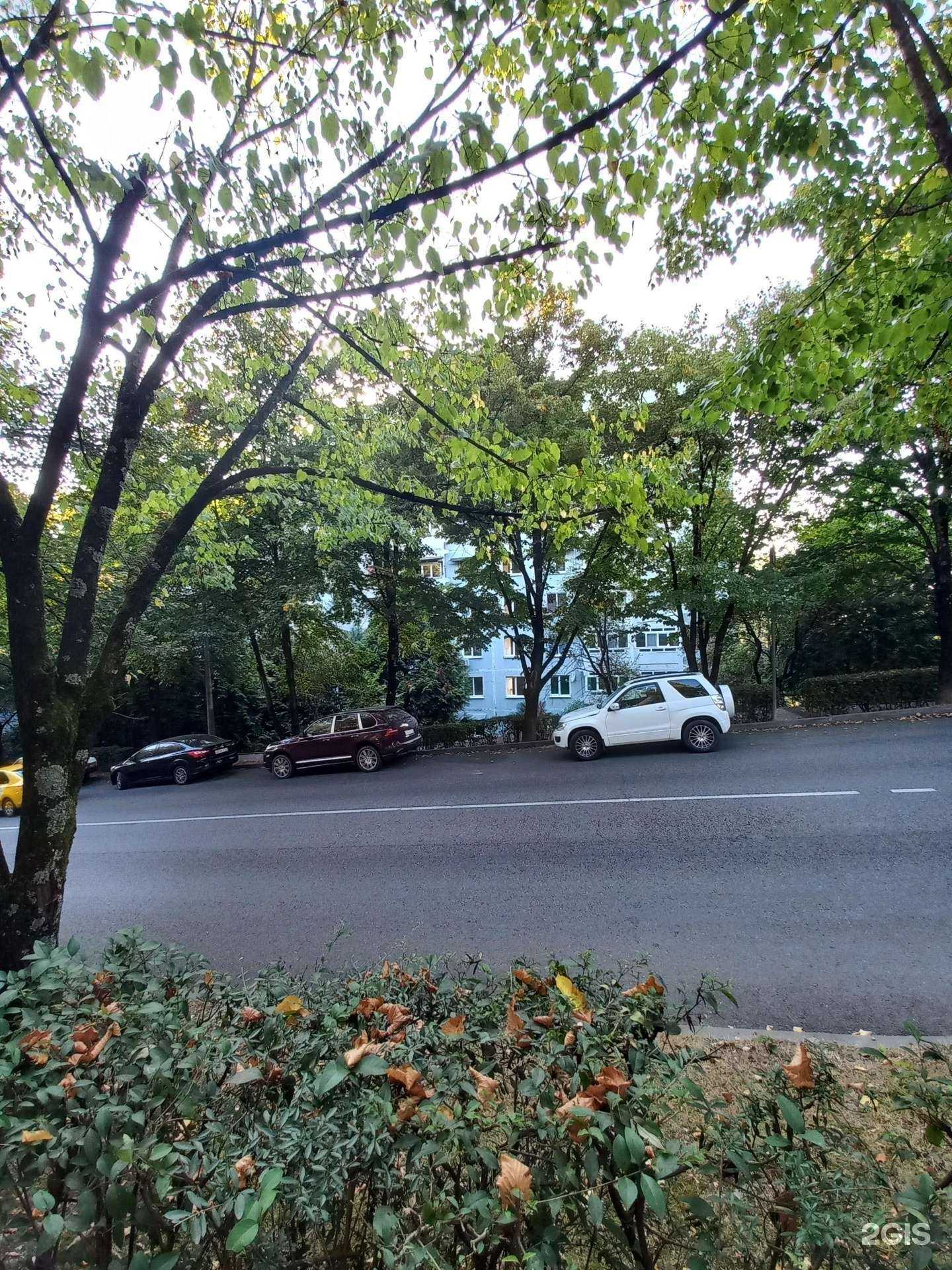 Отзывы на компанию Выездная ветеринарная служба в г. Сочи c фото