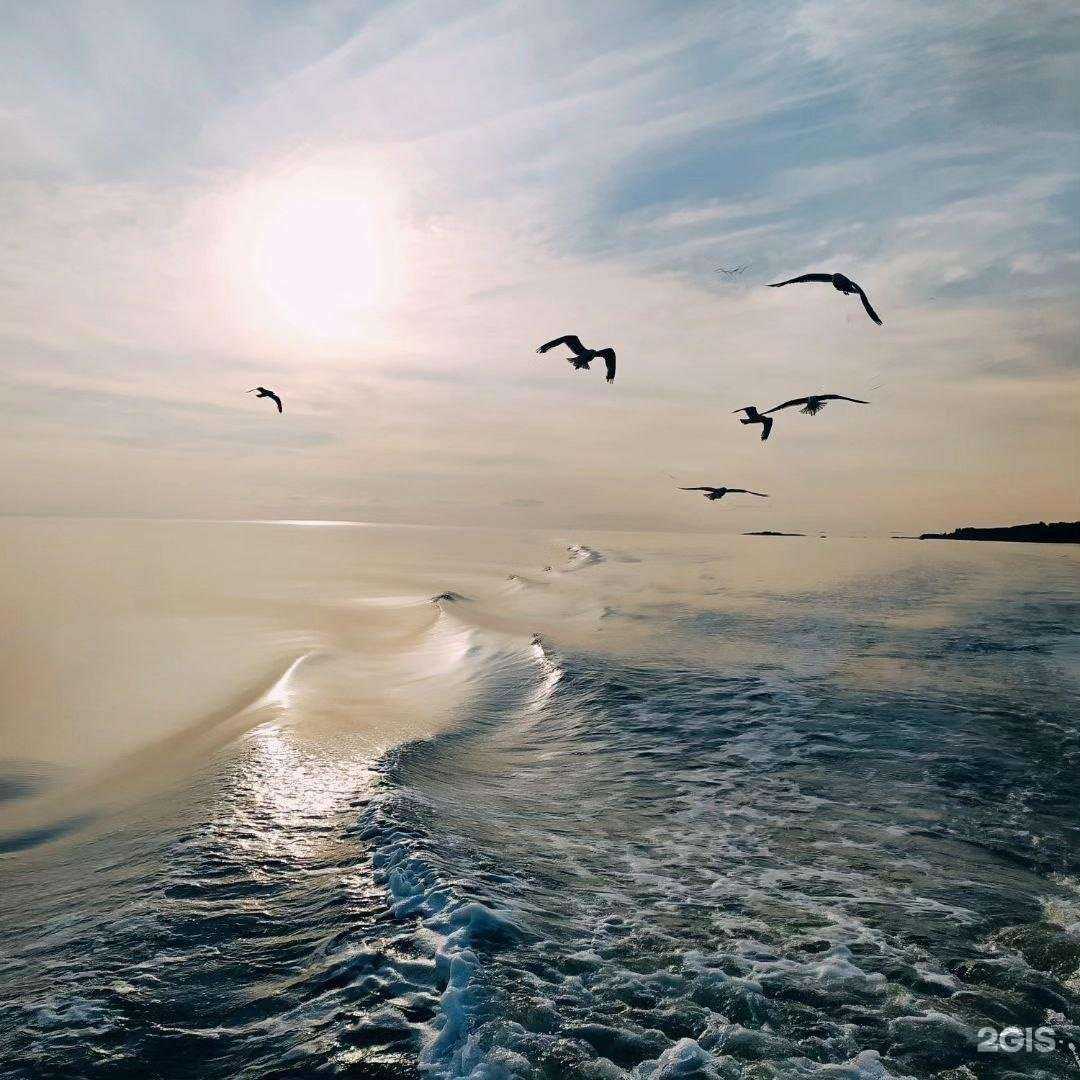 Отзывы на компанию Akimova vocal class в Архангельске c фото