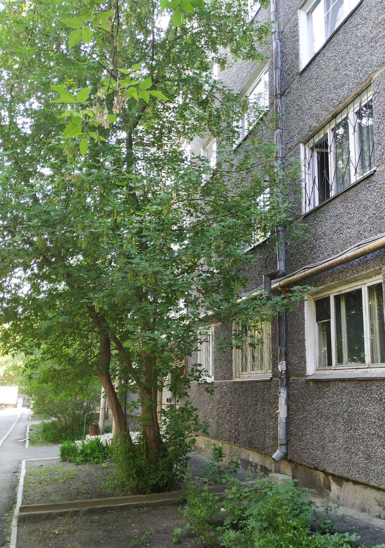 Отзывы на компанию Сип-комплект в Челябинске c фото - фотография 2 из 2