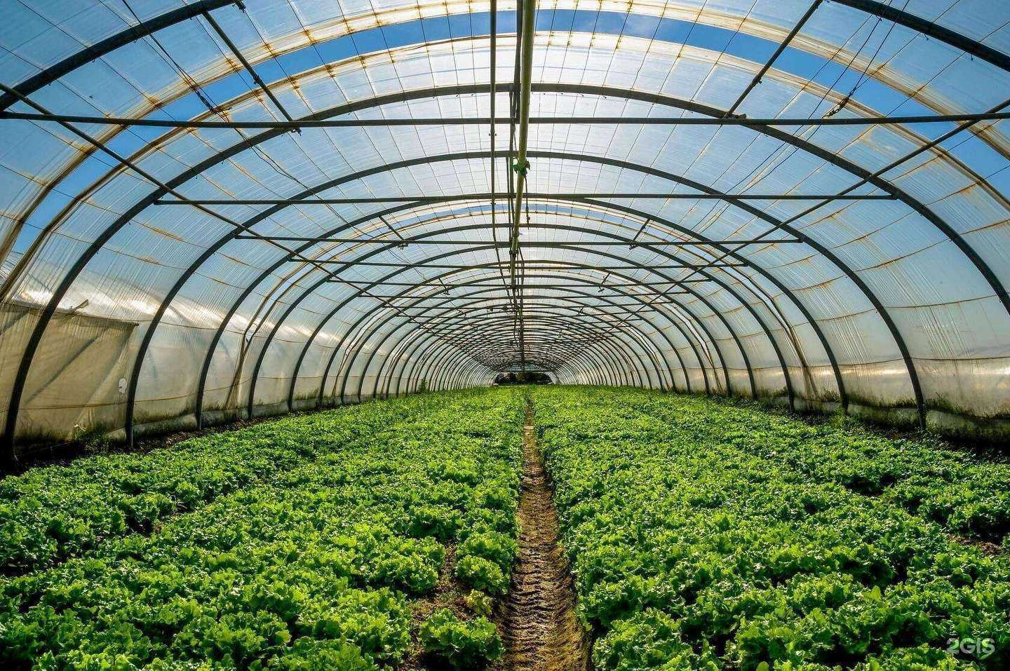 Отзывы на компанию Альянс в Туле c фото