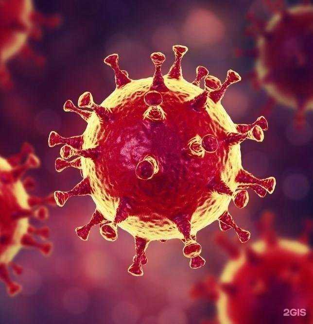 Отзывы на компанию Симуляционно-тренинговый центр в Иркутске c фото