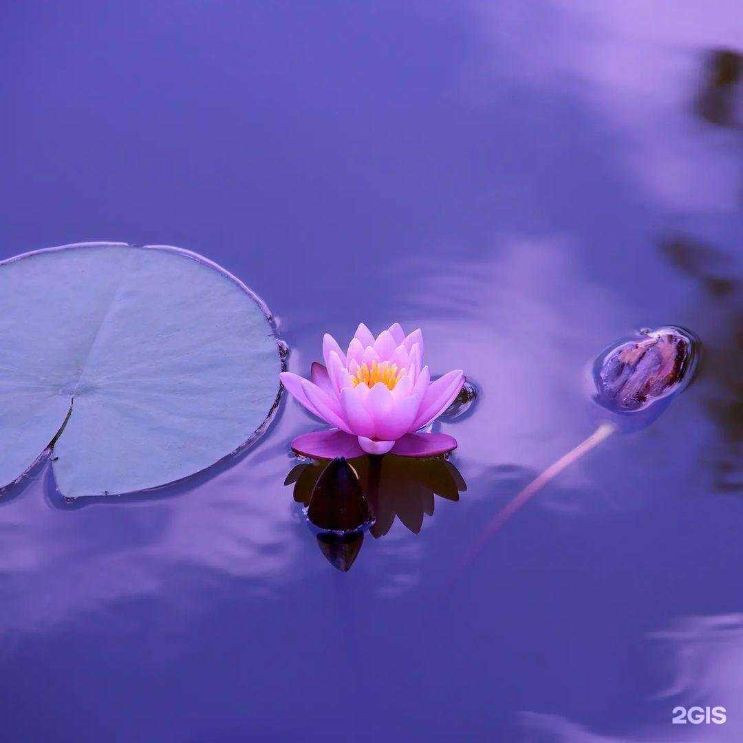 Отзывы на компанию Николь в Балакове c фото