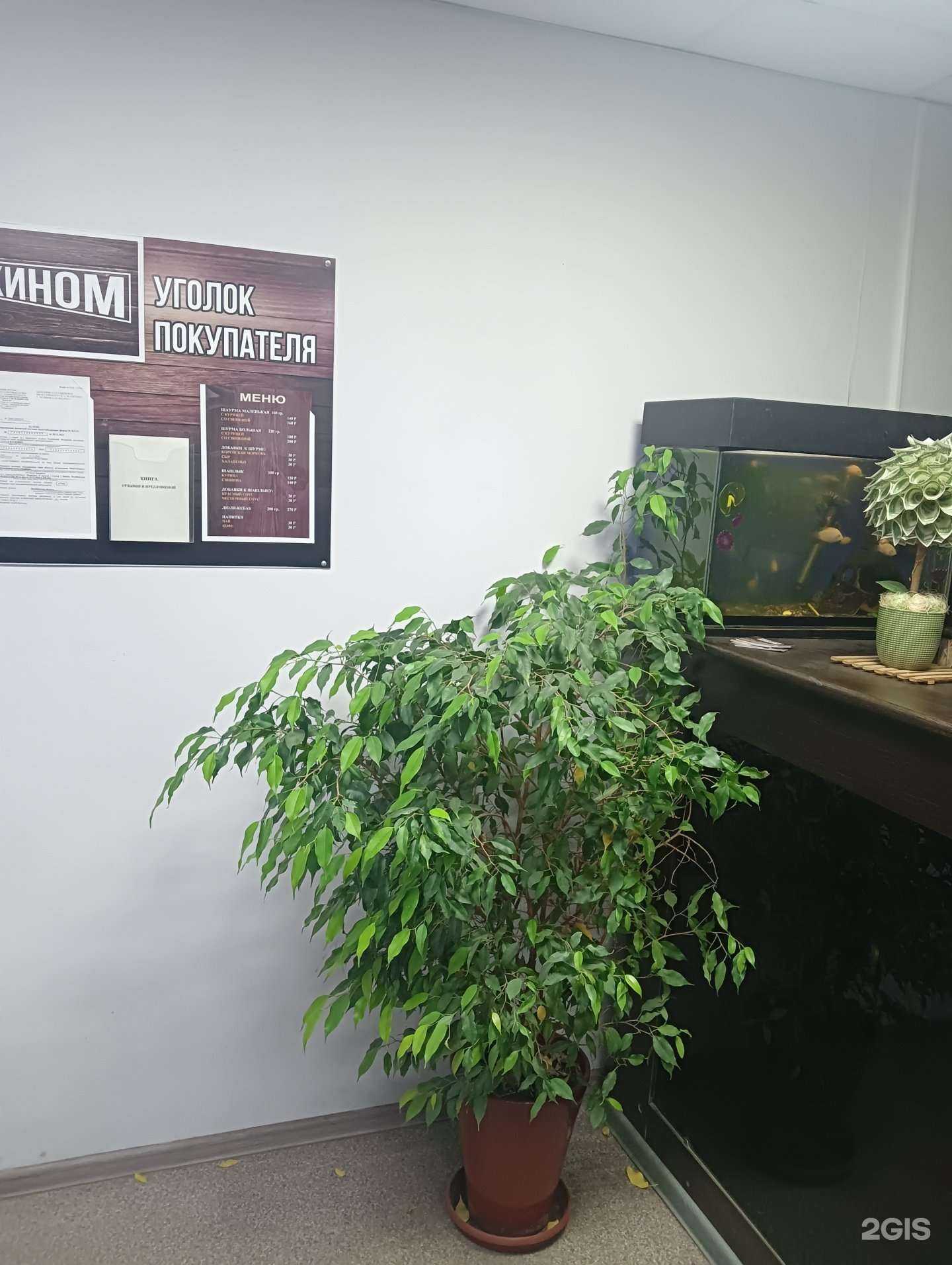 Отзывы на компанию Акином в г. Златоуст c фото