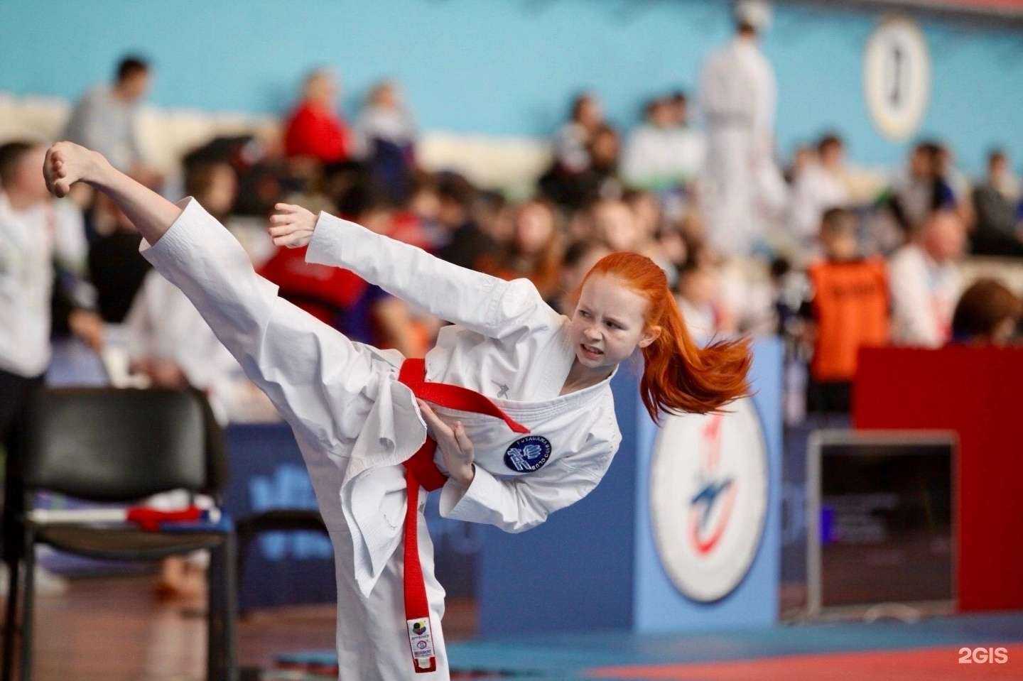 Отзывы на компанию Футагава в Нижнем Новгороде c фото