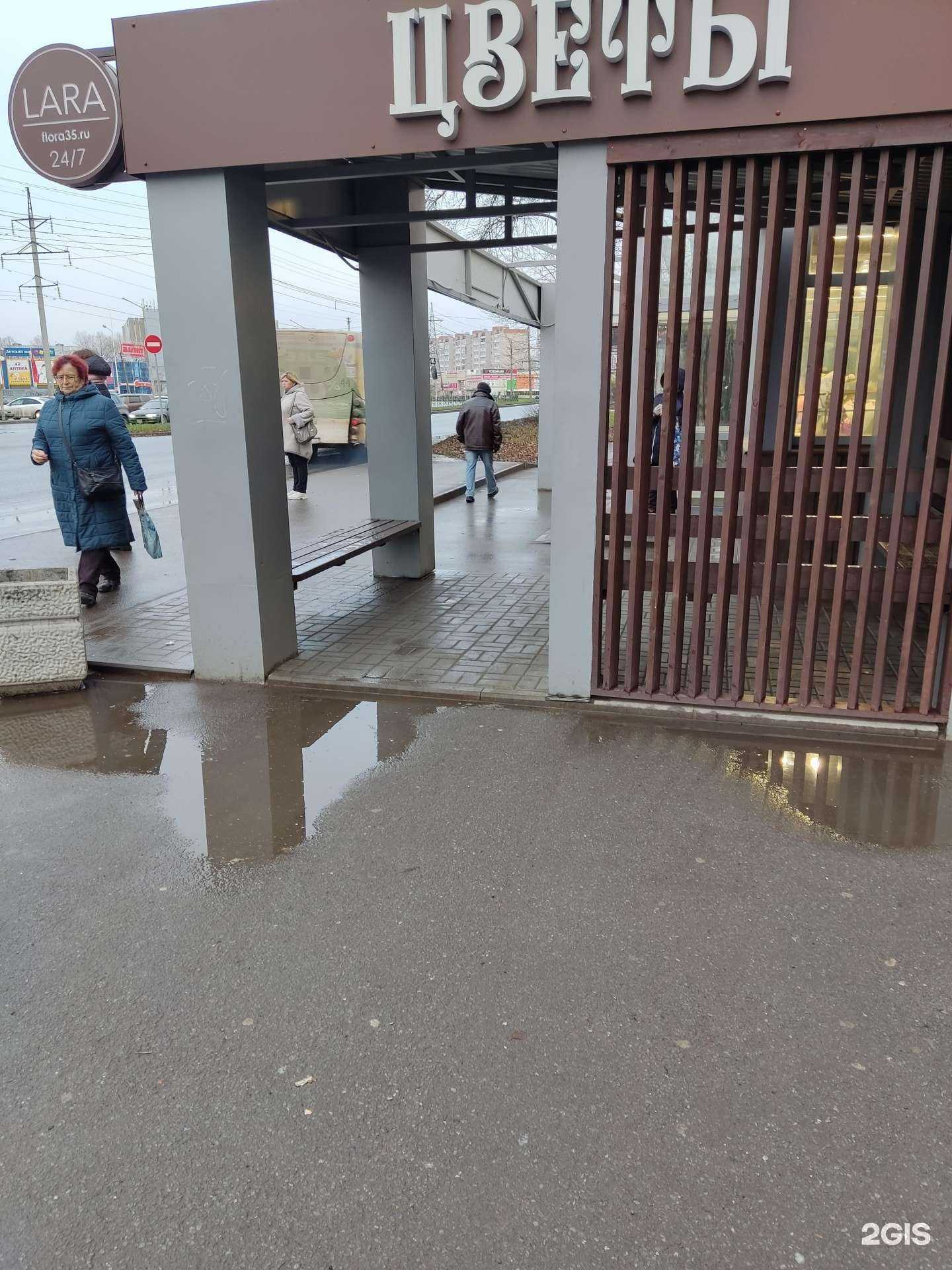 Отзывы на компанию Лара в г. Вологда c фото