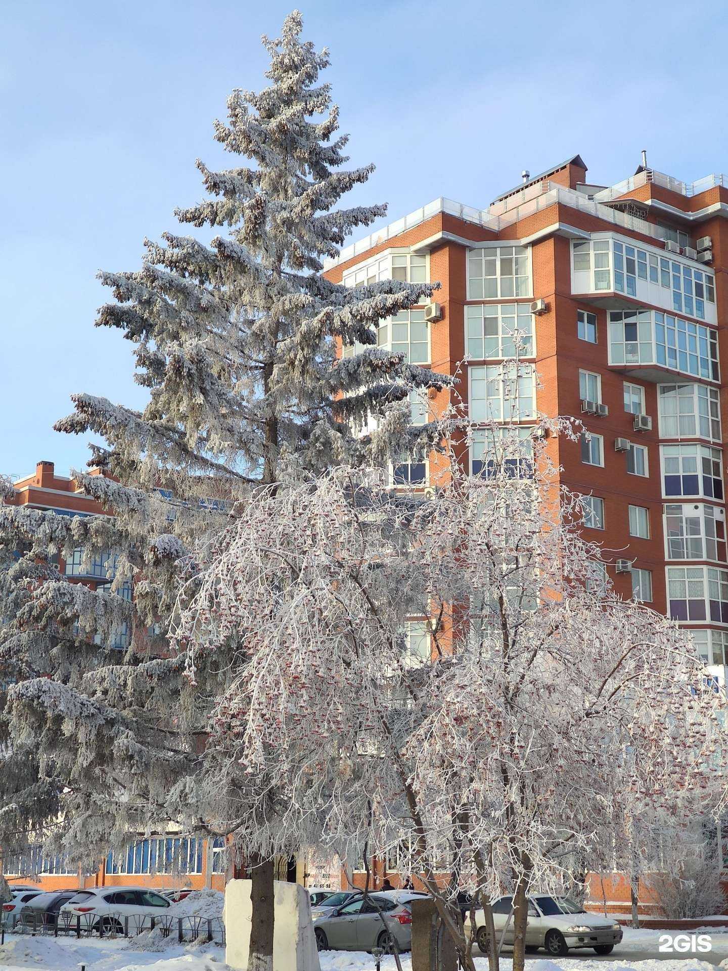 Отзывы на компанию СИТК&Бирхаус в Омске c фото