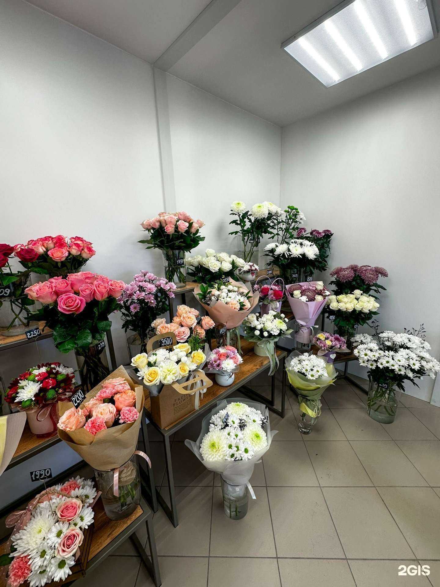 Отзывы на компанию Азалия в г. Барнаул c фото