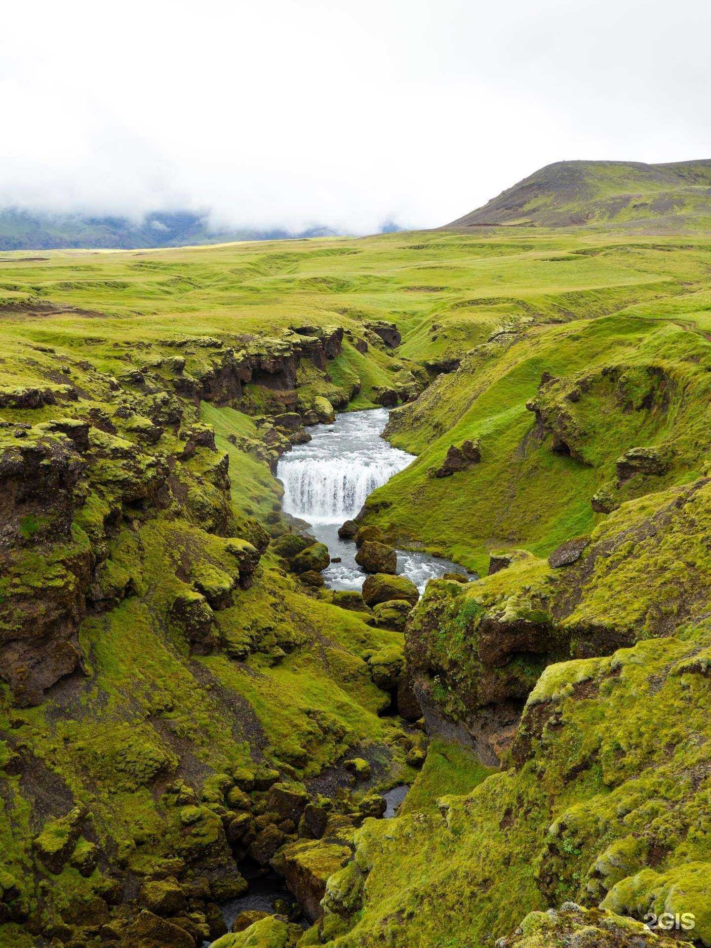 Отзывы на компанию New Yorker в г. Вологда c фото