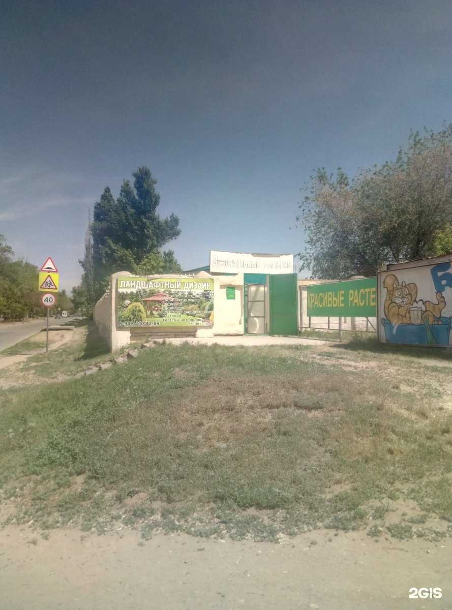 Отзывы на компанию Сад-Престиж в Волгограде c фото