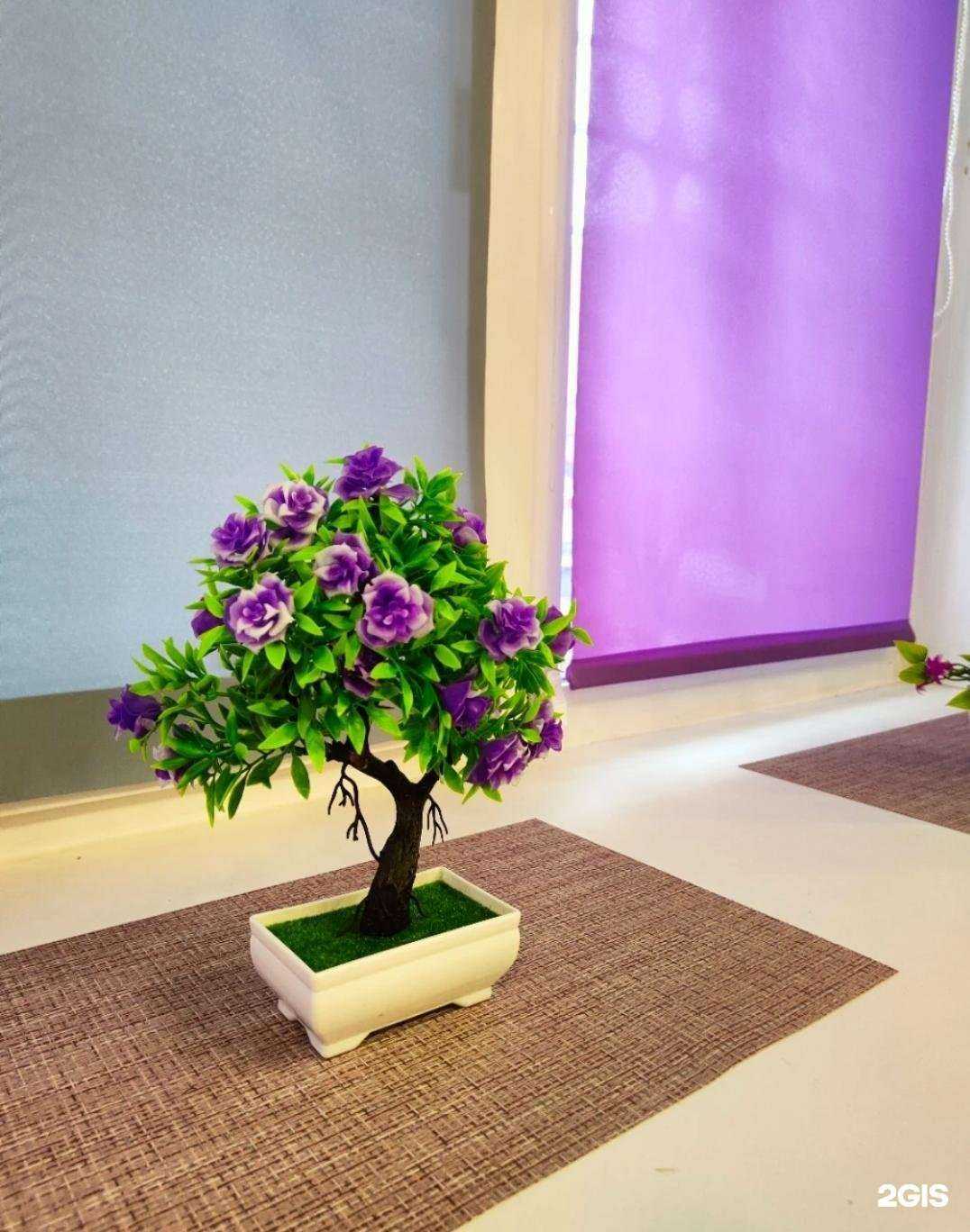 Отзывы на компанию Lavanda в Кургане c фото