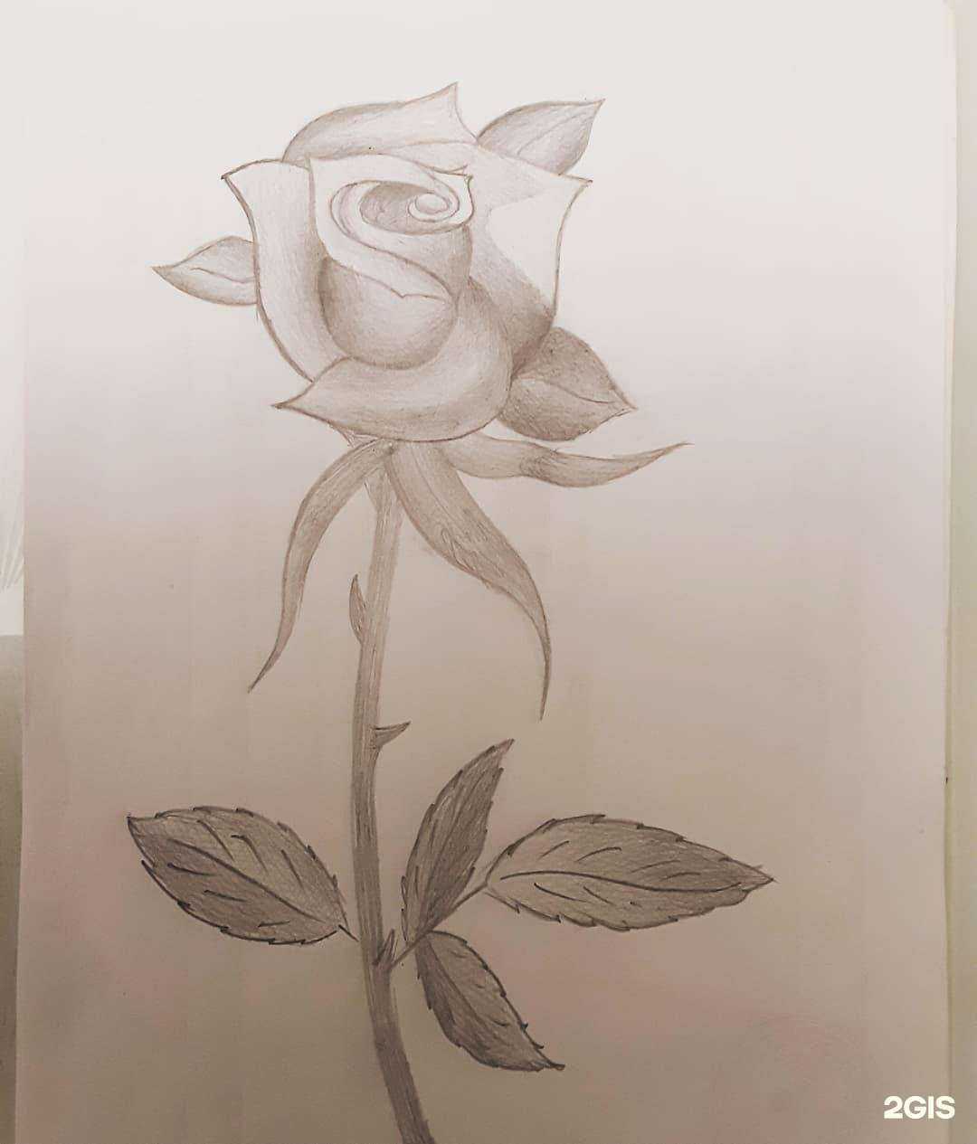 Отзывы на компанию Мужская парикмахерская в Кисловодске c фото