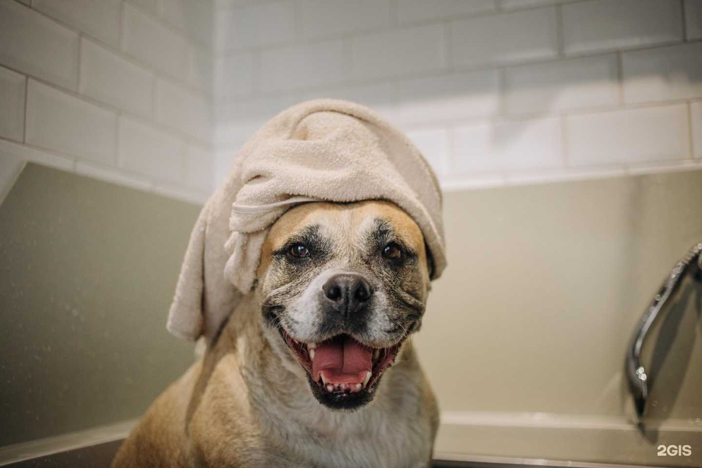 Отзывы на компанию Barberdog в г. Уфа c фото