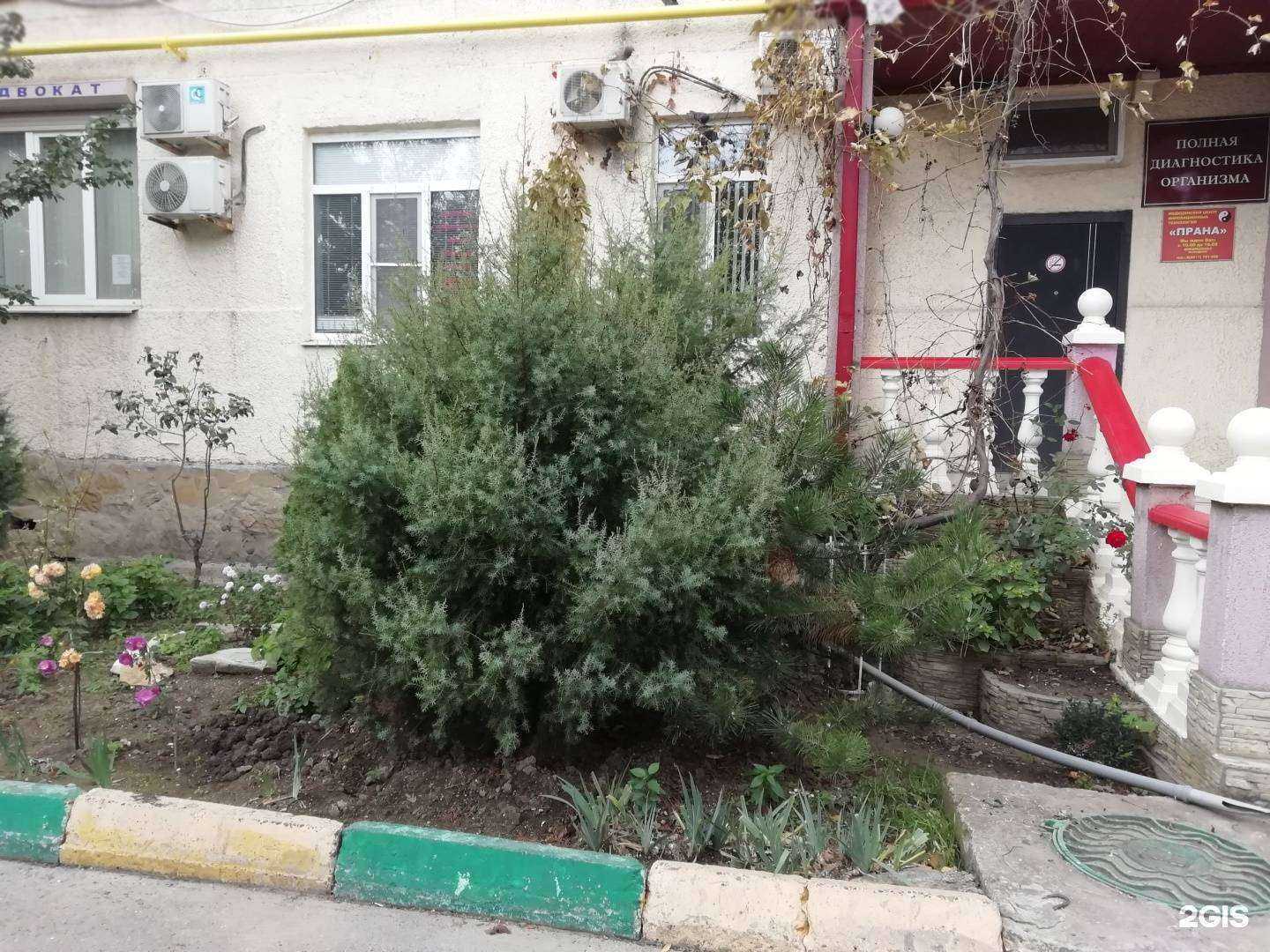 Отзывы на компанию Прана в Новороссийске c фото