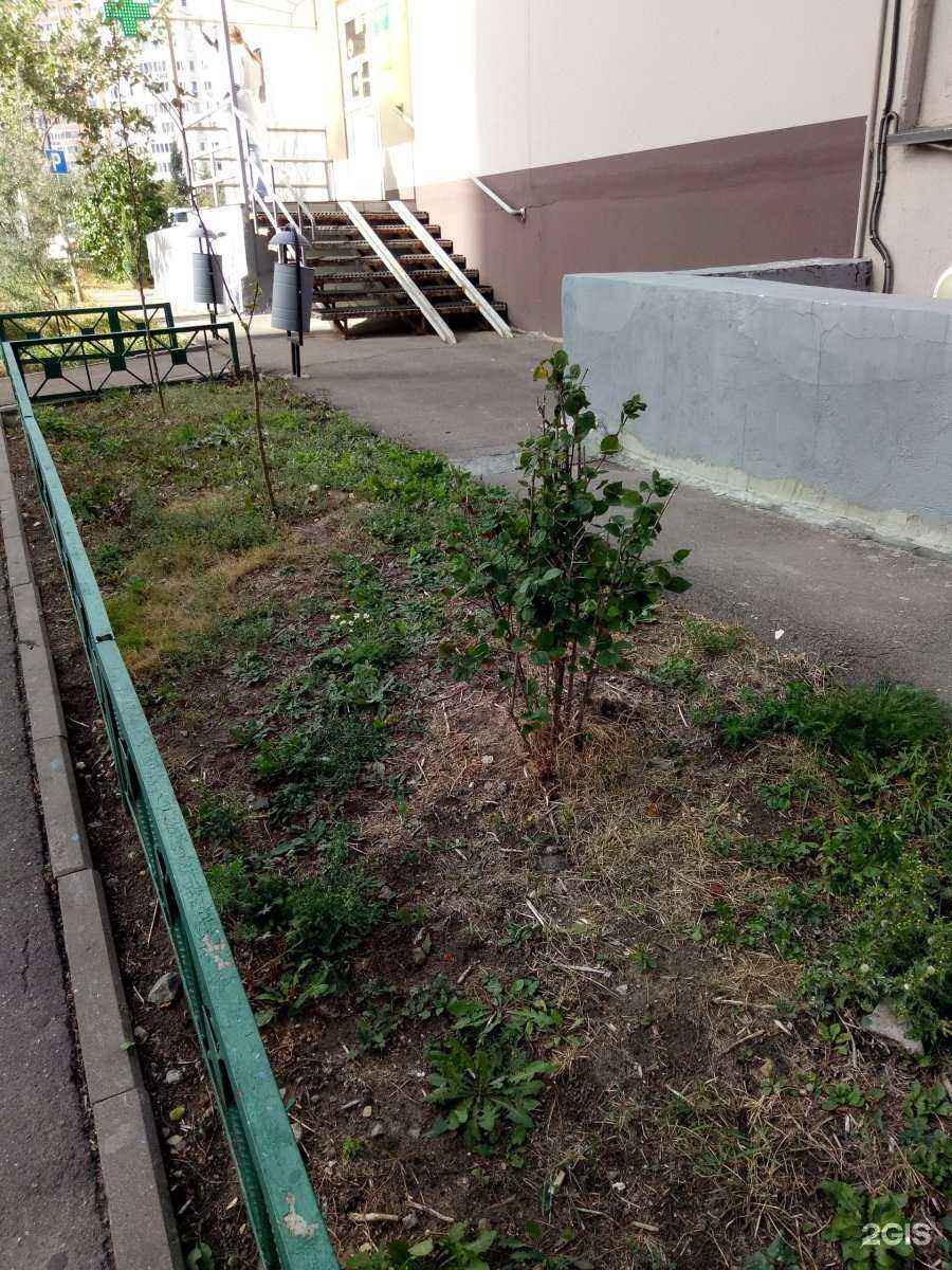 Отзывы на компанию Планета здоровья в г. Красногорск c фото