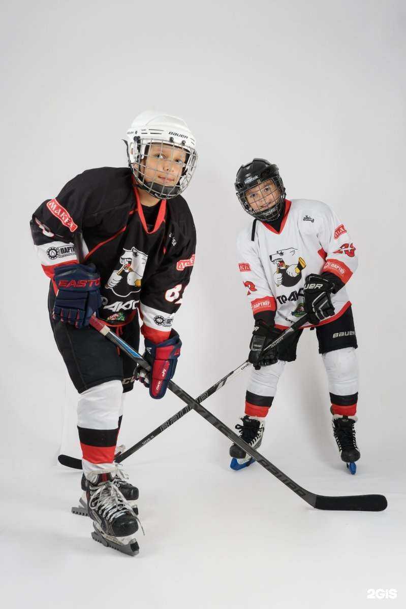 Отзывы на компанию Albica в Челябинске c фото