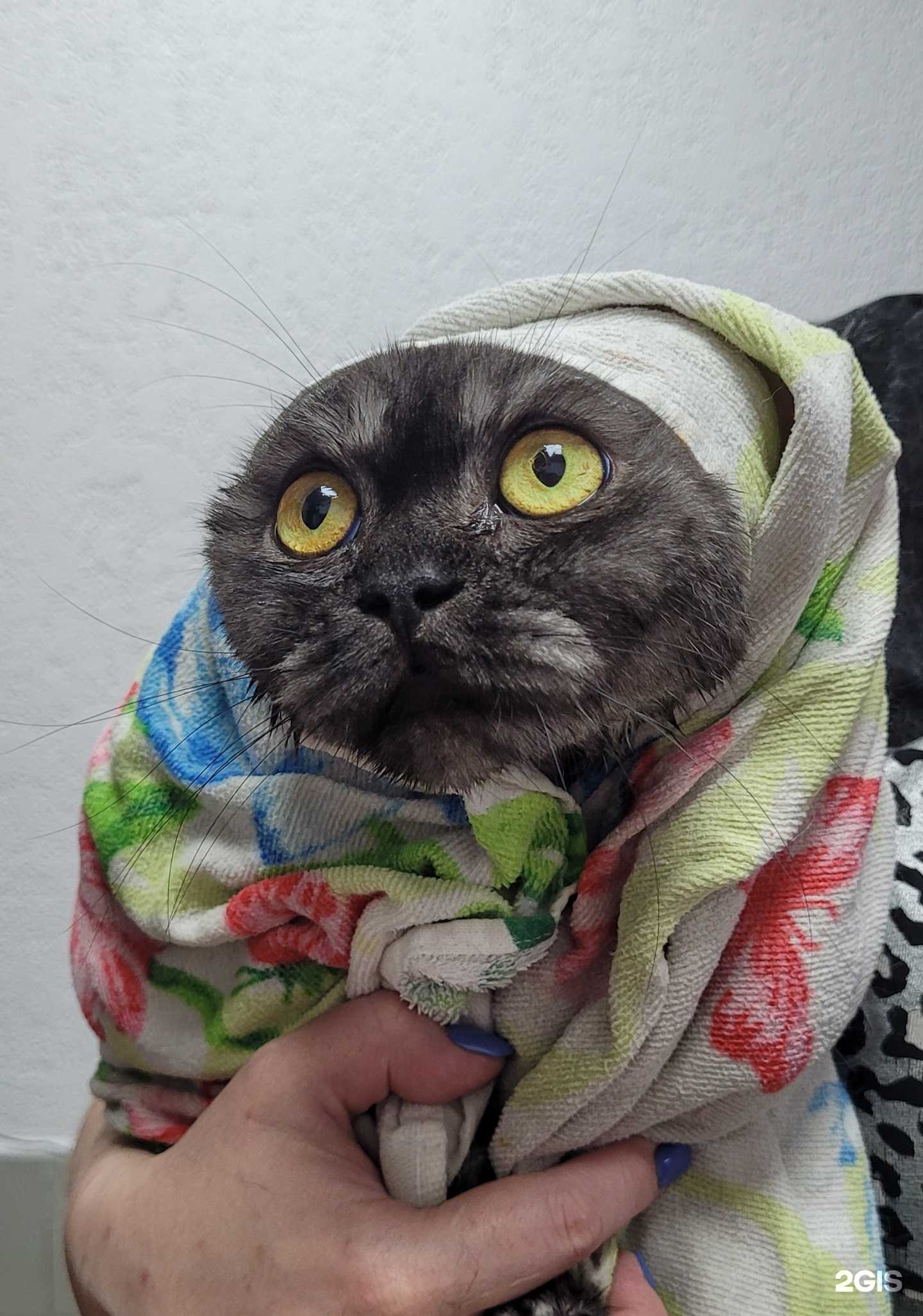 Отзывы на компанию Кто сказал Gav в г. Биробиджан c фото