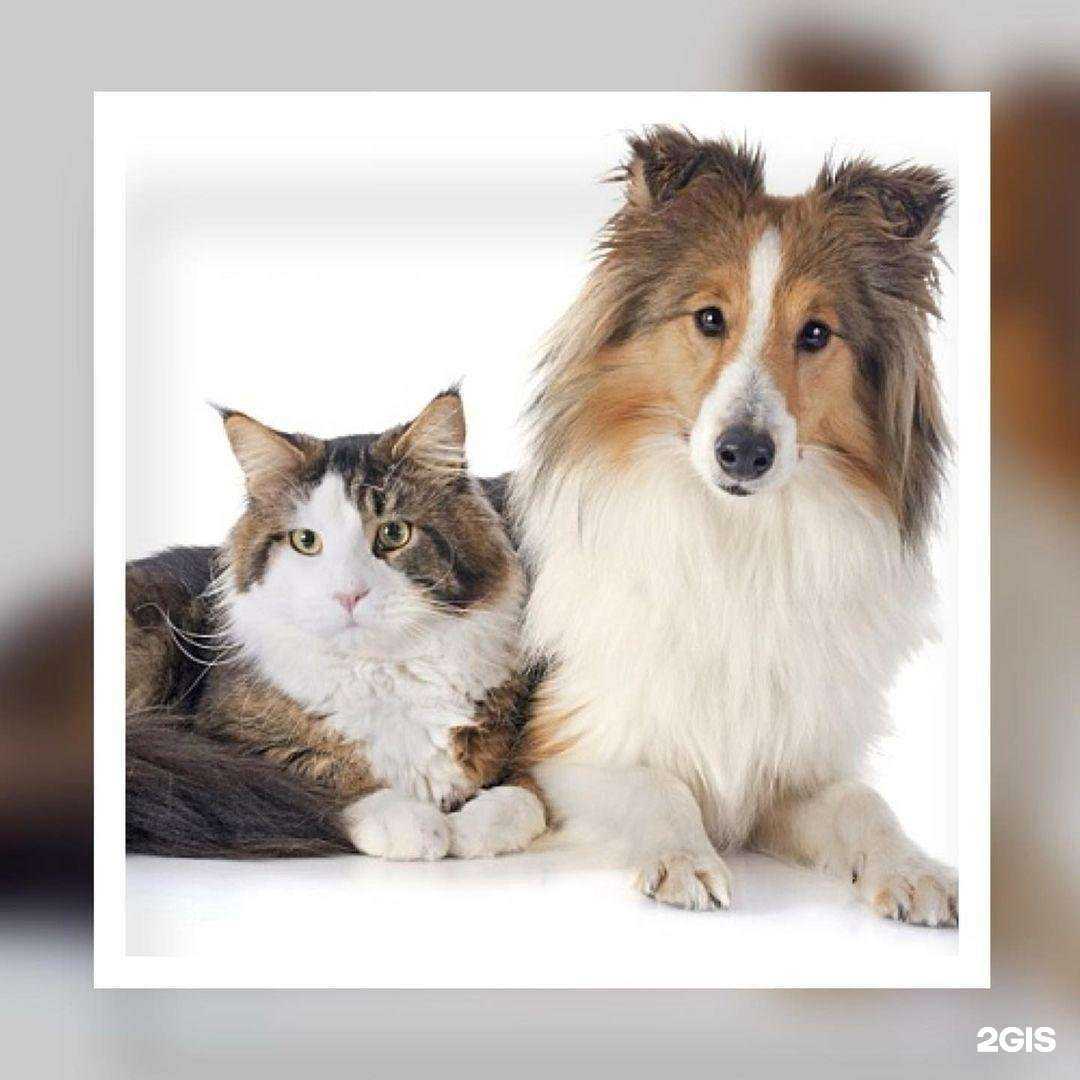 Отзывы на компанию Друг в Солнечногорске c фото