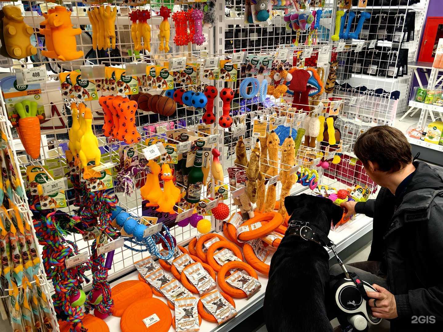 Отзывы на компанию Зоозавр в Ульяновске c фото