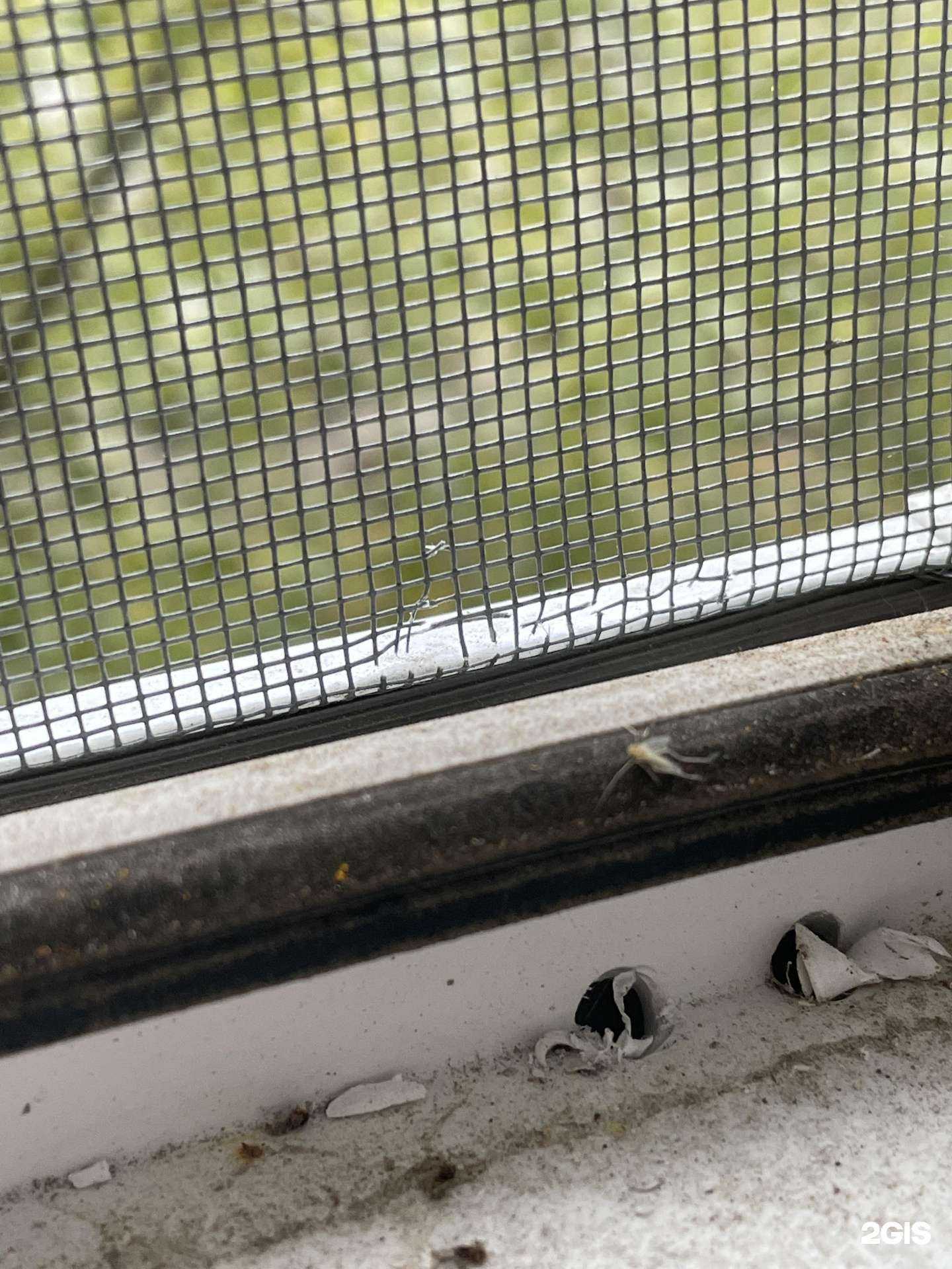 Отзывы на компанию Доверие в г. Самара c фото