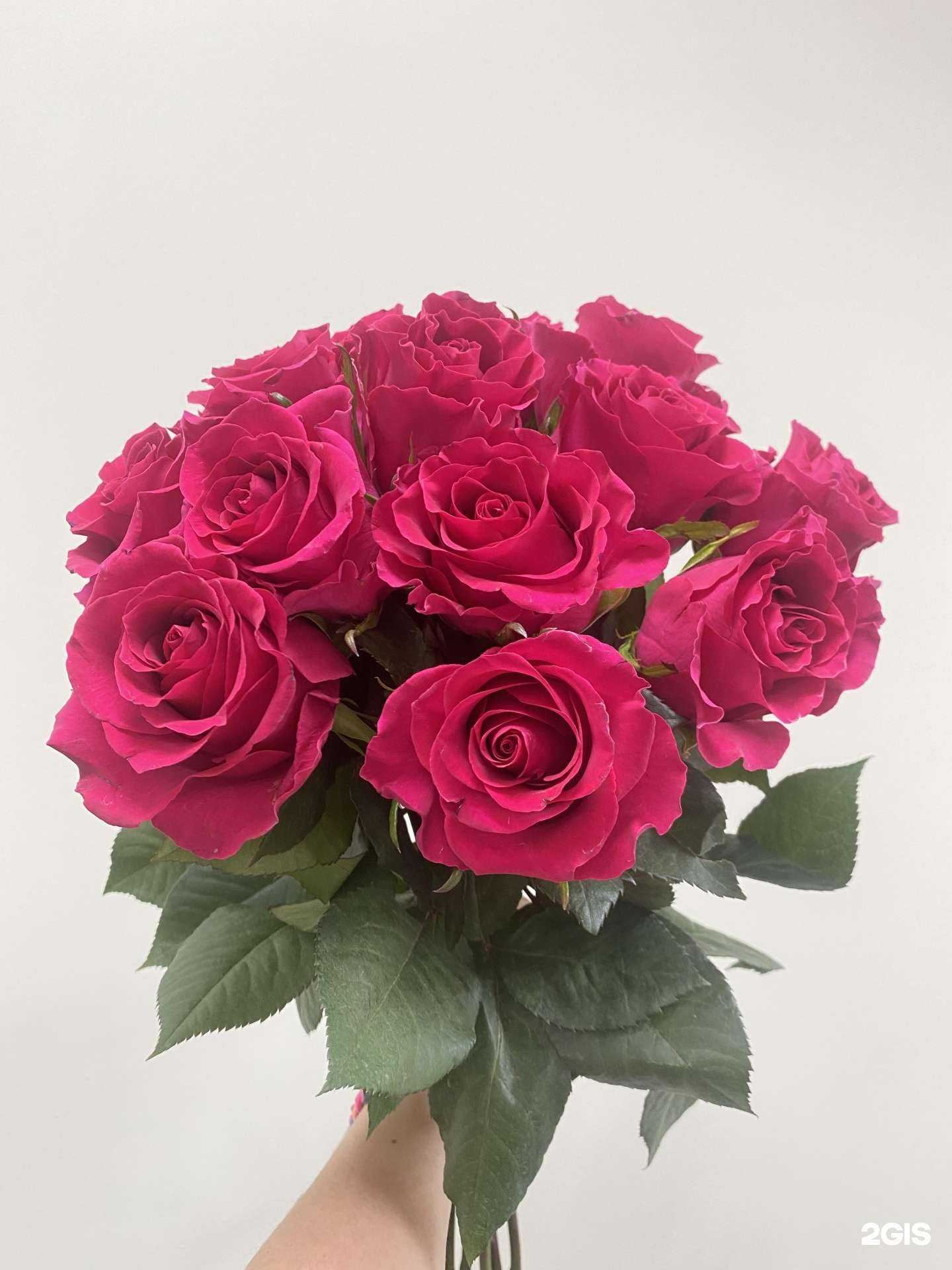 Отзывы на компанию Спэшлфою в г. Набережные Челны c фото