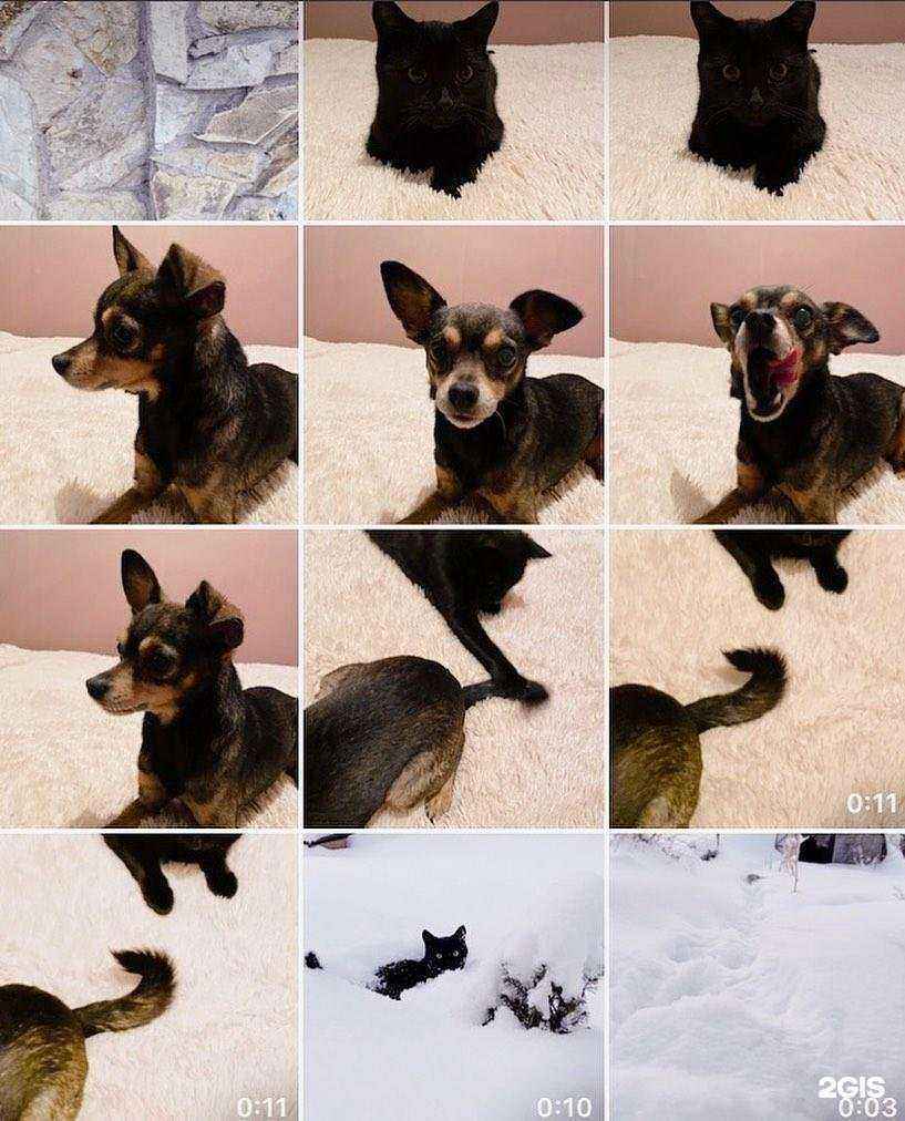 Отзывы на компанию Фото точка в Кемерове c фото