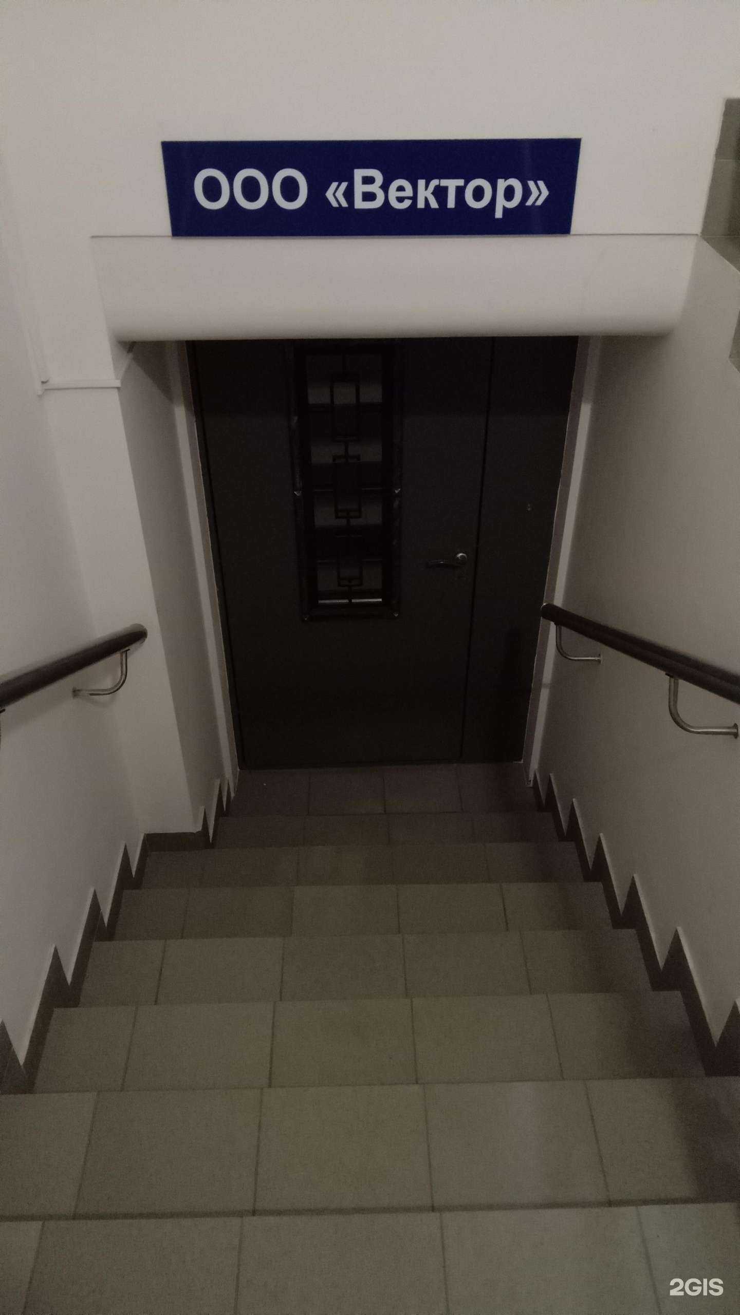 Отзывы на компанию Вектор в Чебоксарах c фото