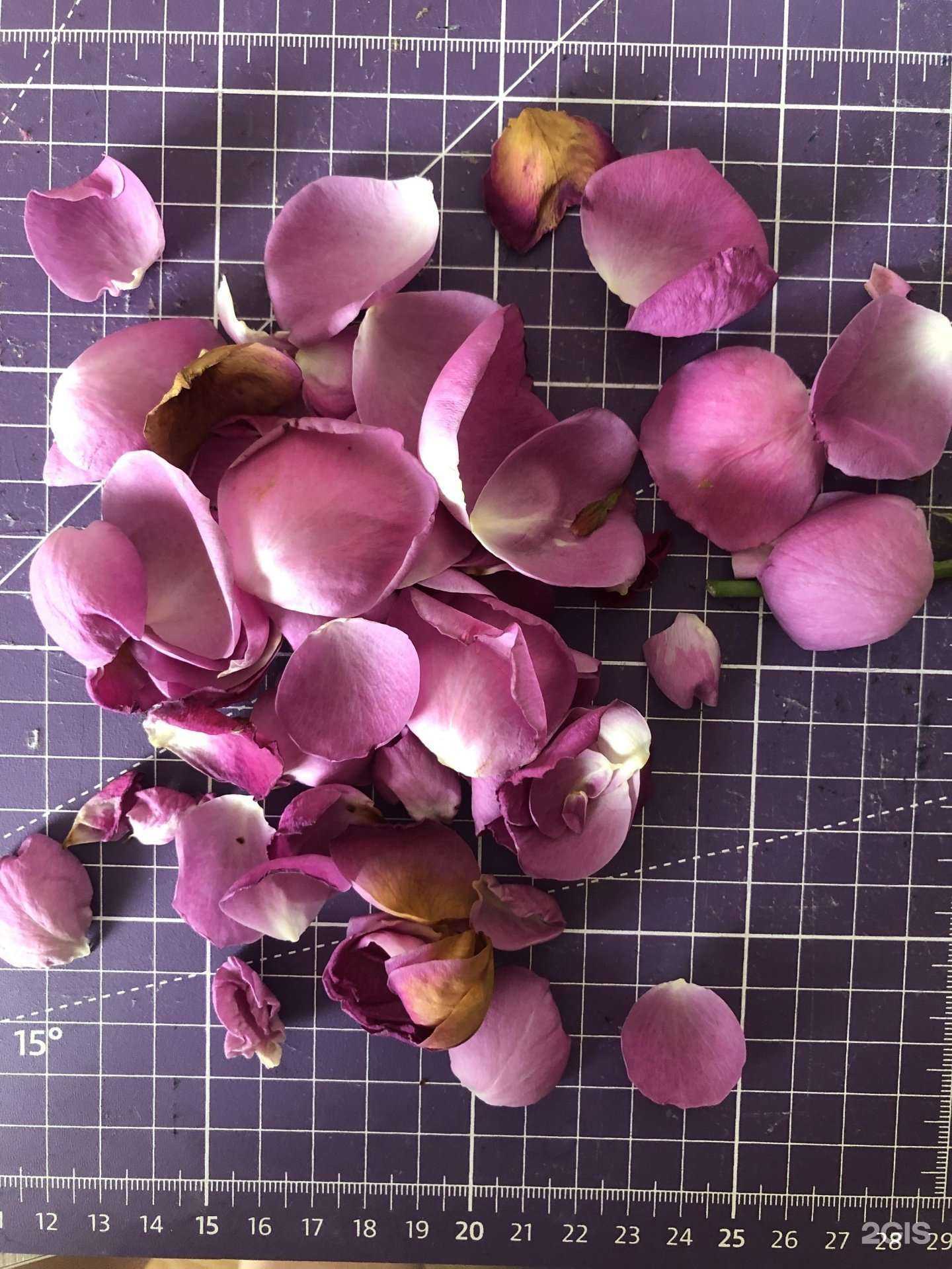 Отзывы на компанию Аленький цветочек в Екатеринбурге c фото