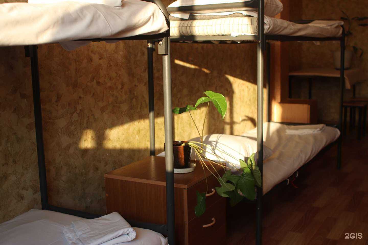 Отзывы на компанию Дельта дом в Щёлкове c фото