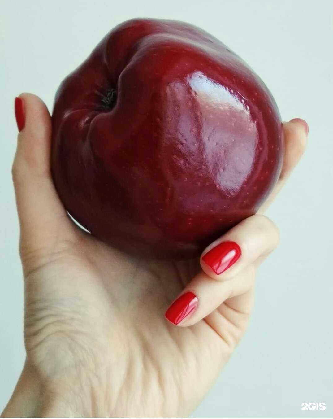 Отзывы на компанию Sante` в Екатеринбурге c фото