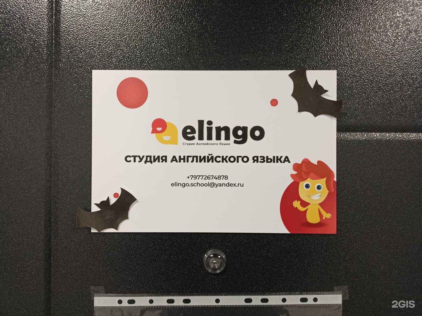 Отзывы на компанию Elingo в г. Пушкино c фото
