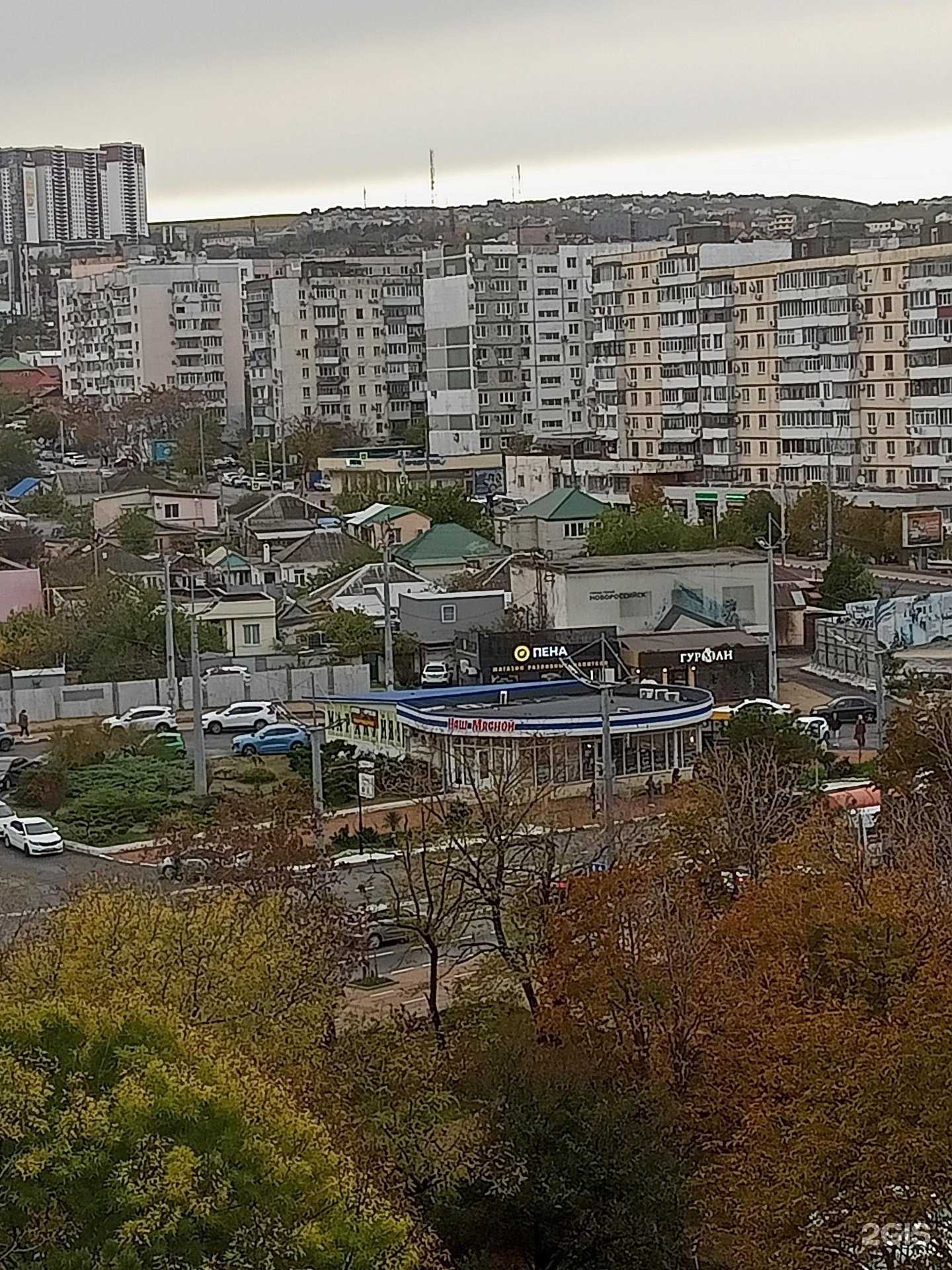 Отзывы на компанию Поля-пицца в Новороссийске c фото - фотография 2 из 2