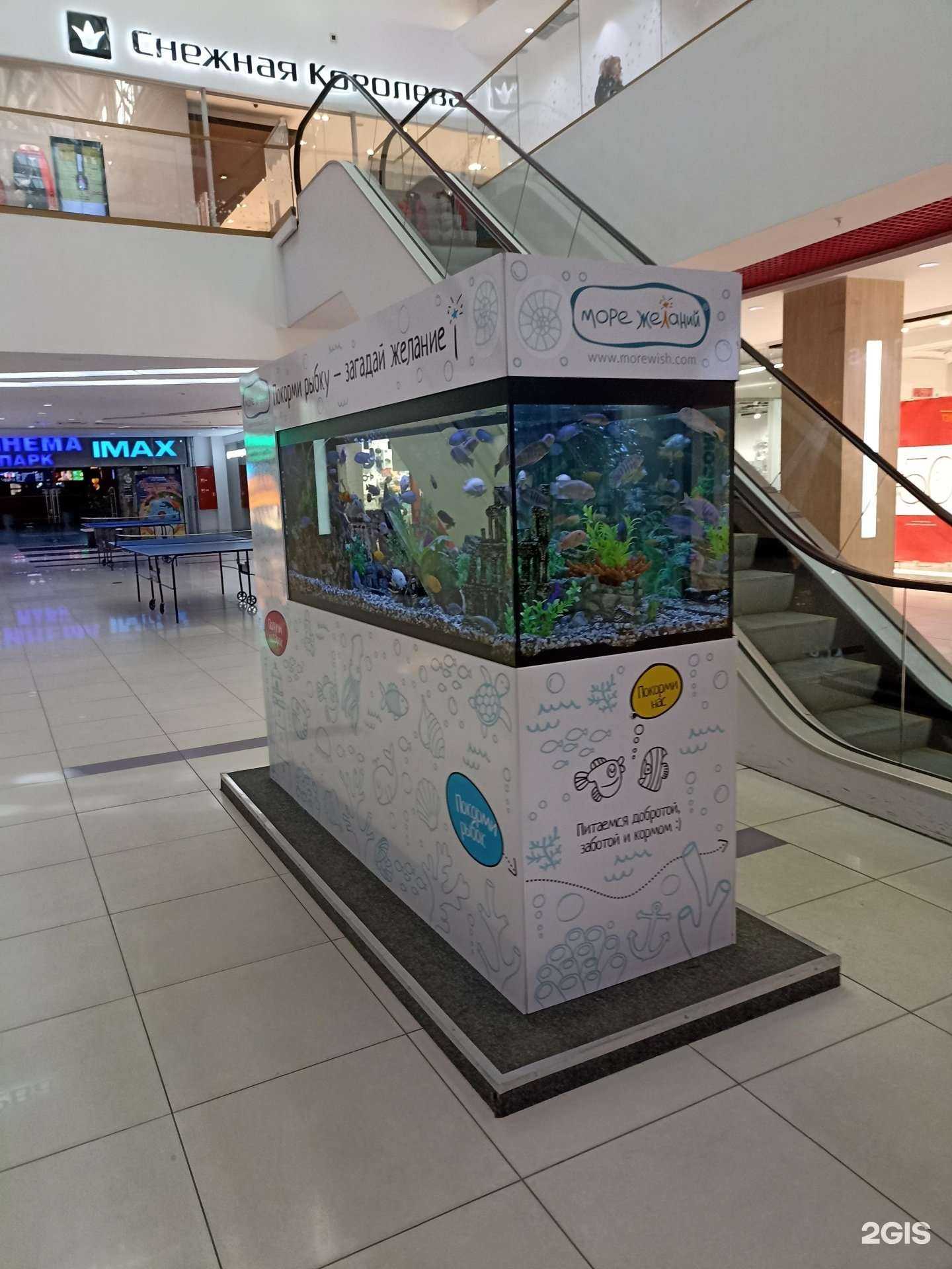 Отзывы на компанию Море желаний в Челябинске c фото