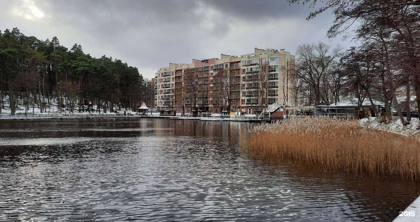 Отзывы на компанию Тунец в Светлогорске c фото - фотография 2 из 2