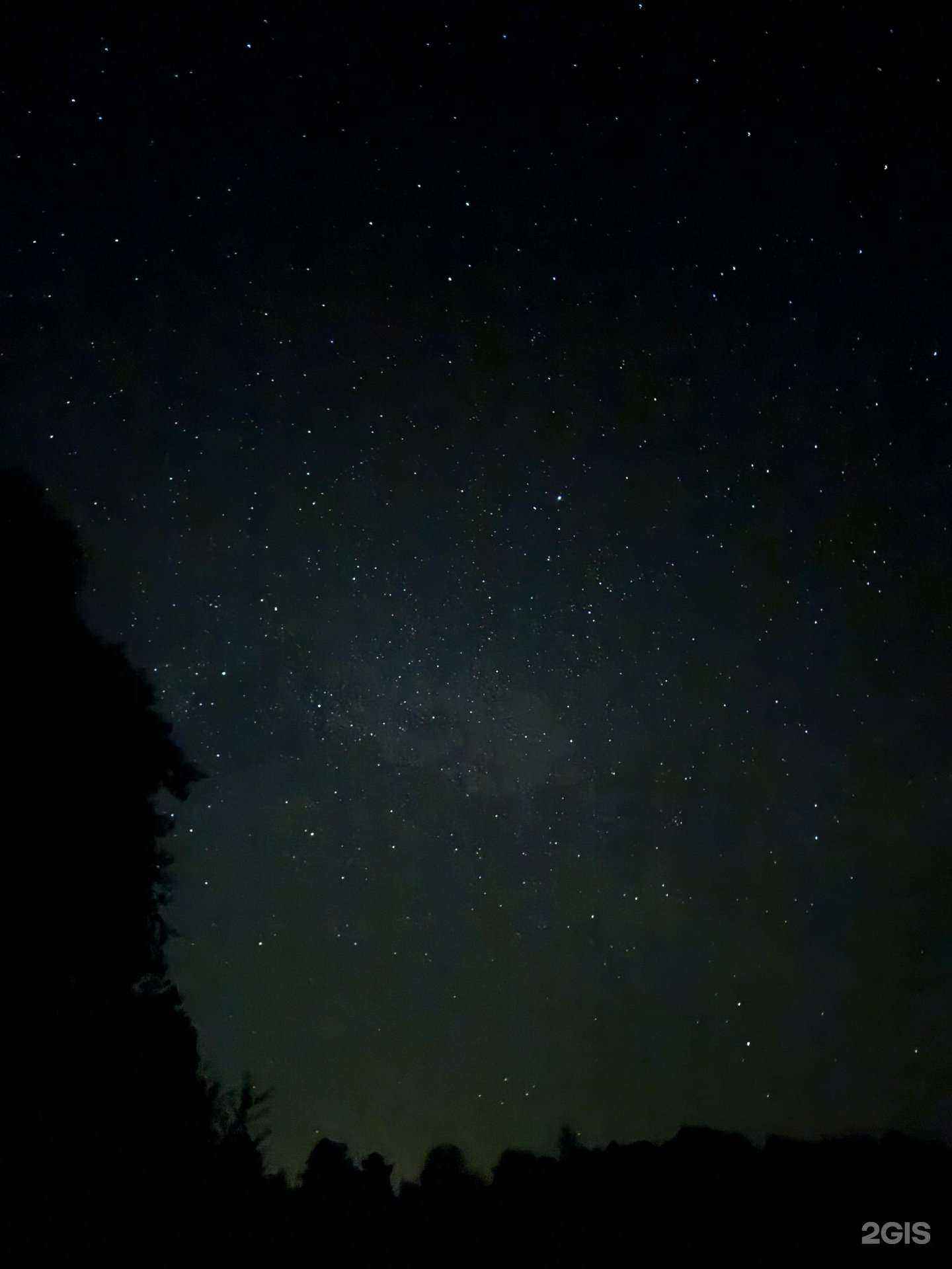 Отзывы на компанию Wildworld в г. Калининград c фото