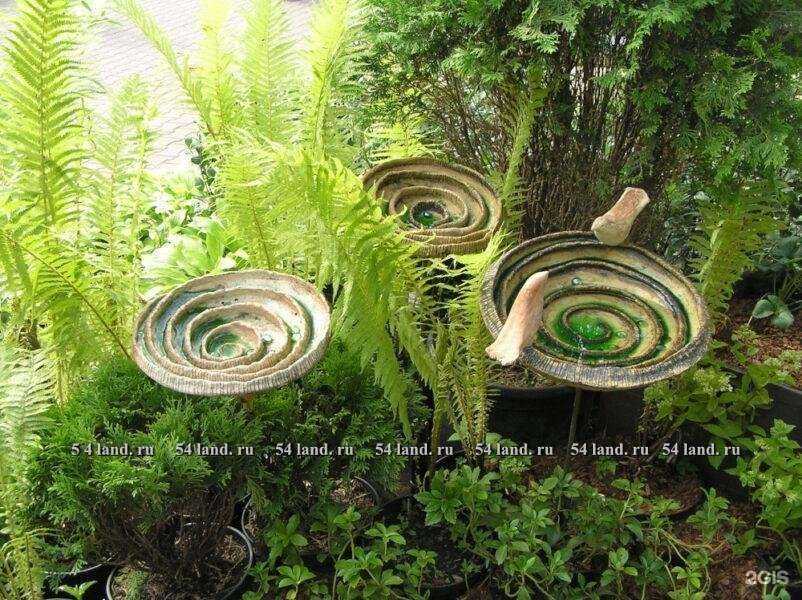 Отзывы на компанию Ландшафтный дизайнер Марина Решта в Новосибирске c фото