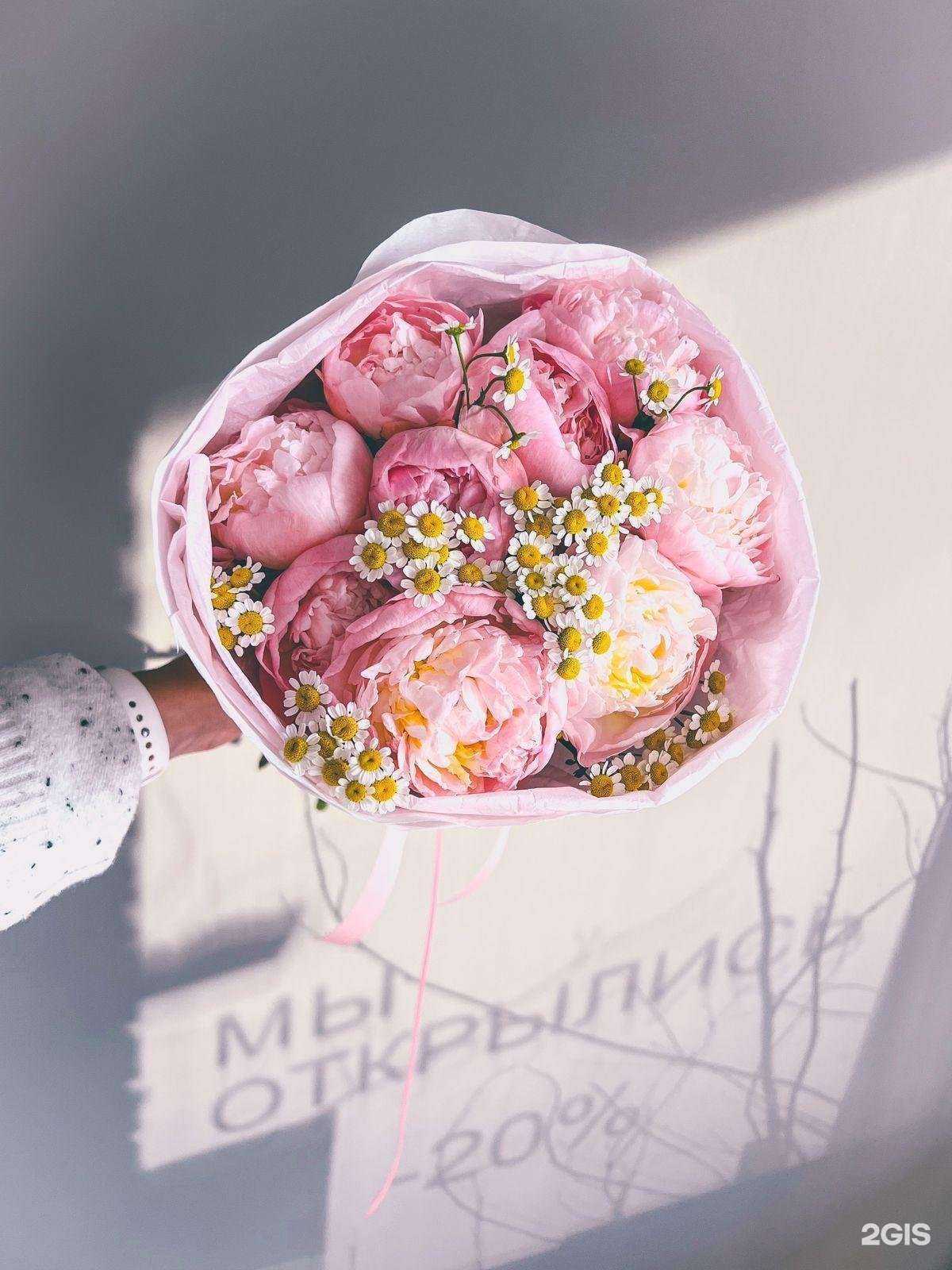 Отзывы на компанию Эстетика в г. Красноярск c фото