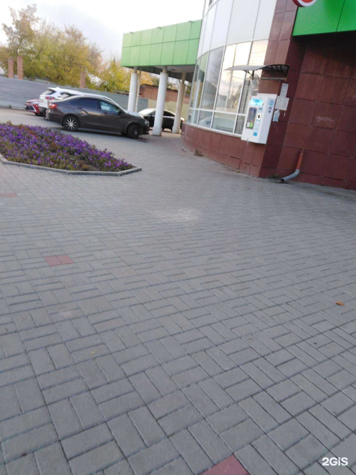 Отзывы на компанию Живая вода  в Тамбове c фото