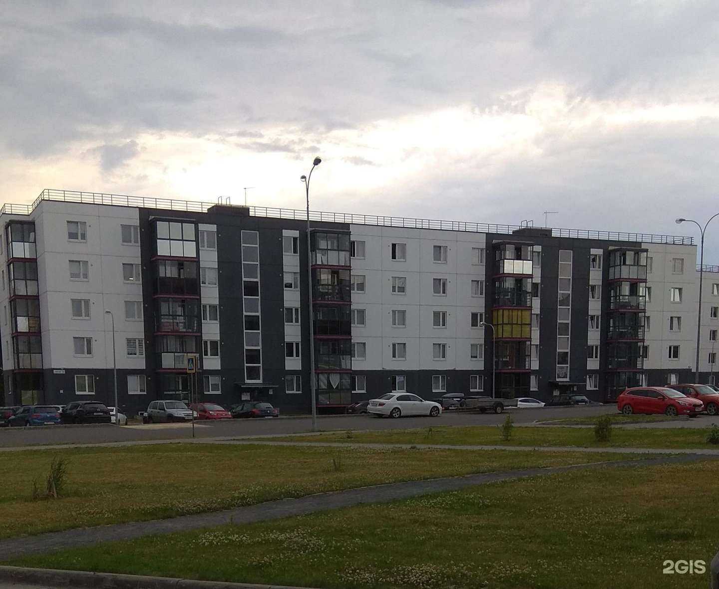 Отзывы на компанию Петрозаводская федерация каратэ киокусинкай в Петрозаводске c фото - фотография 2 из 2