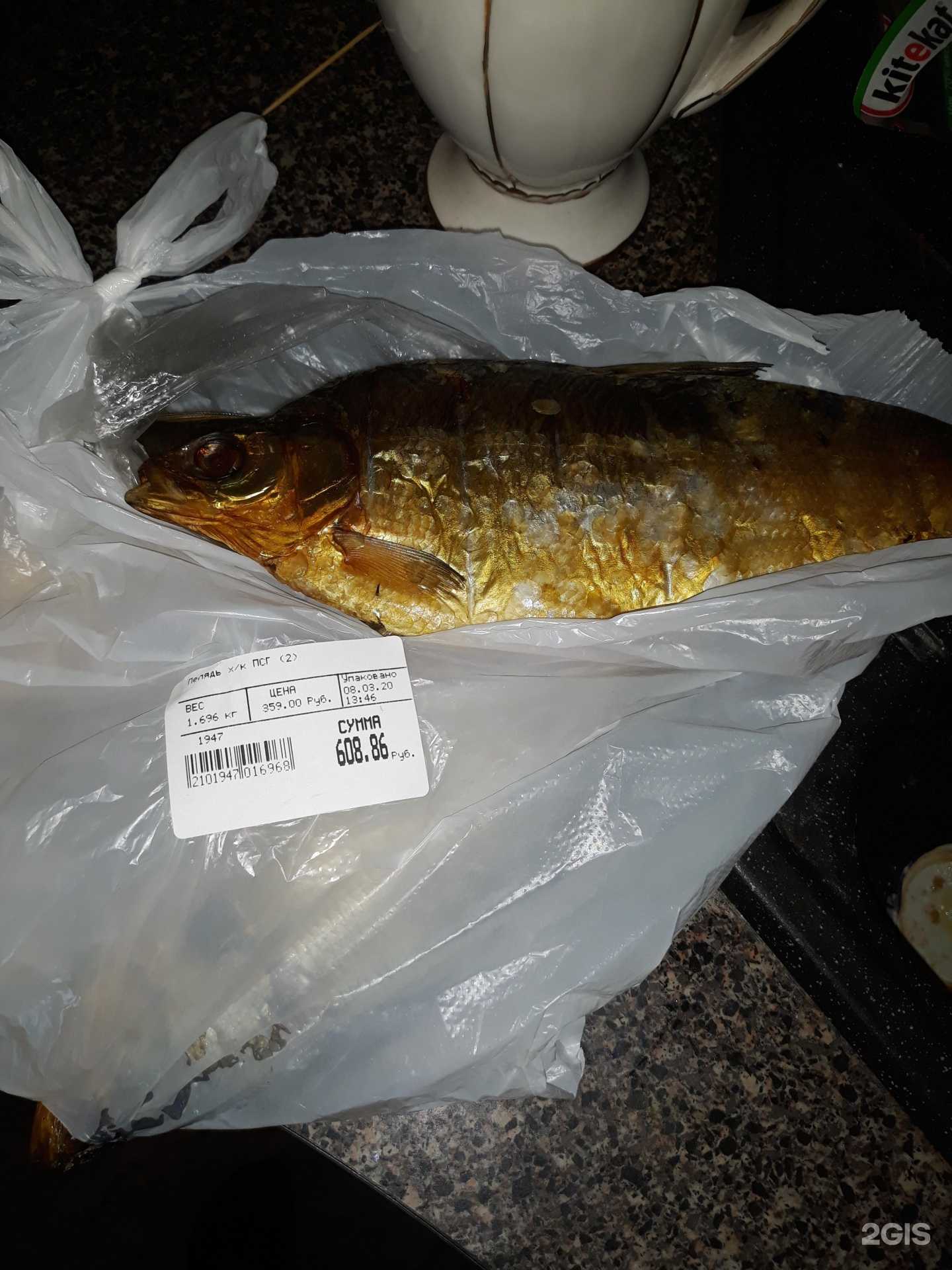 Отзывы на компанию Магазин рыбы в Новосибирске c фото