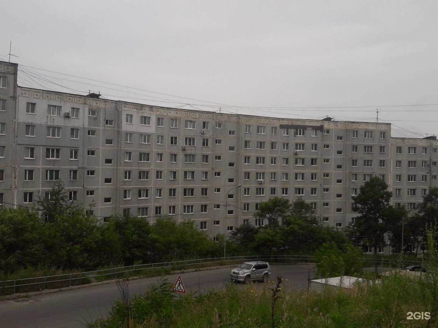 Отзывы на компанию Котопес в Владивостоке c фото - фотография 2 из 2