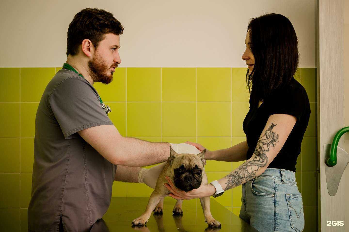 Отзывы на компанию Терравет в Балашихе c фото