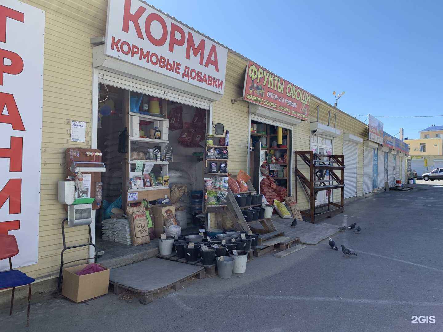 Отзывы на компанию Магазин корма в г. Анапа c фото