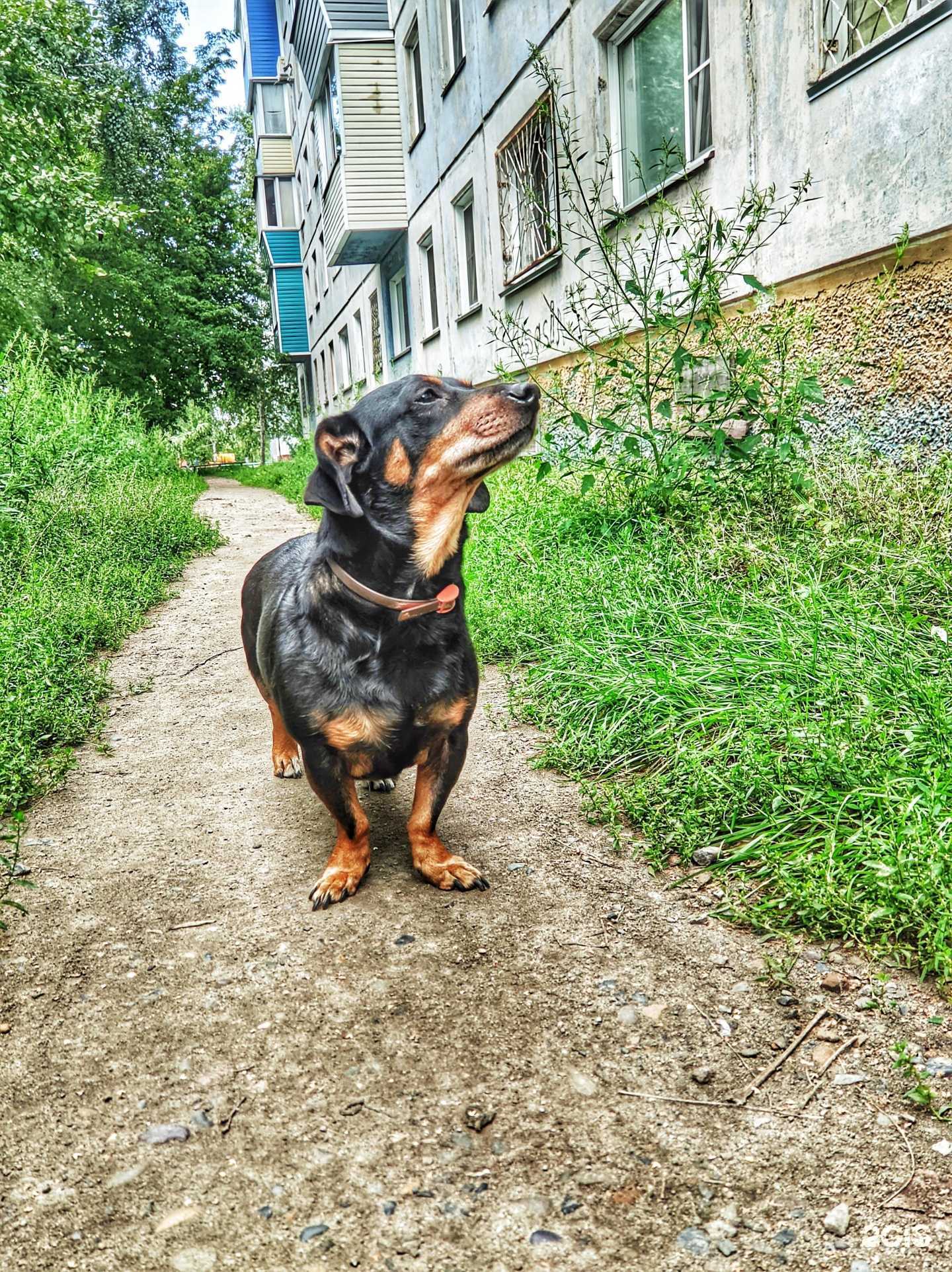 Отзывы на компанию Royal в Бийске c фото - фотография 2 из 2