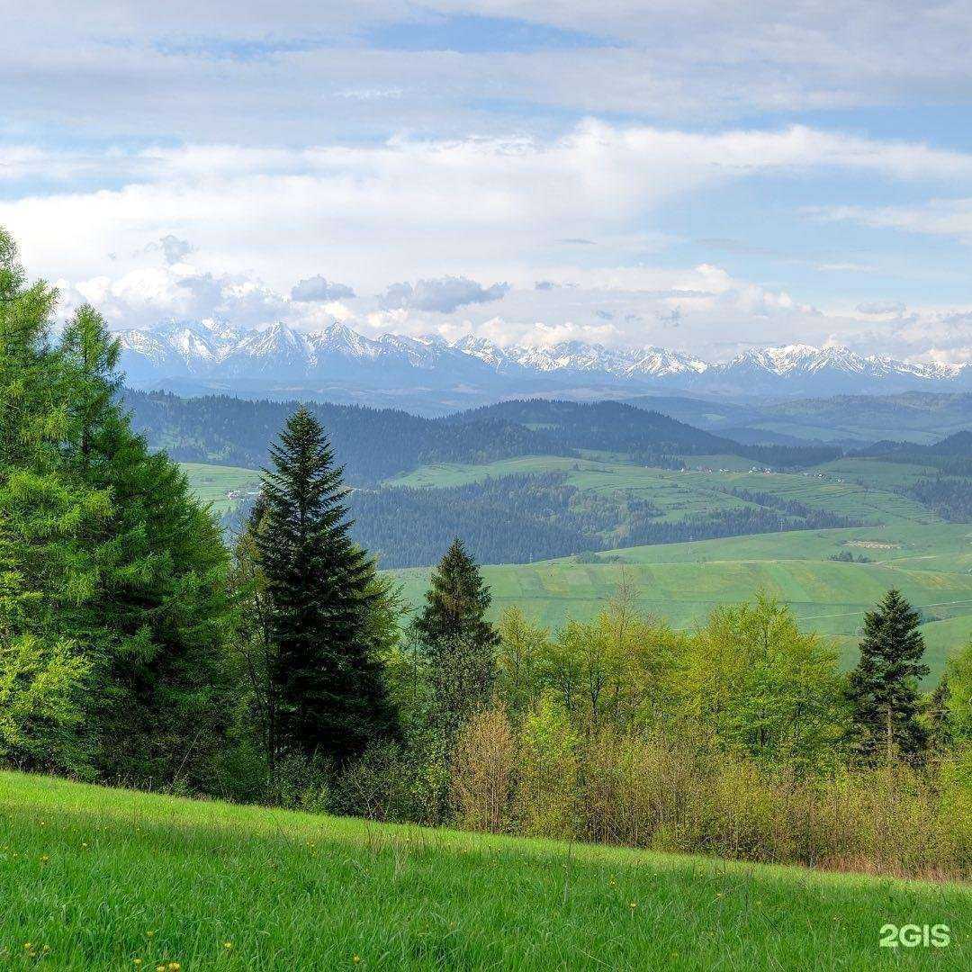Отзывы на компанию Гексагон Композитс Рус в г. Нижний Новгород c фото